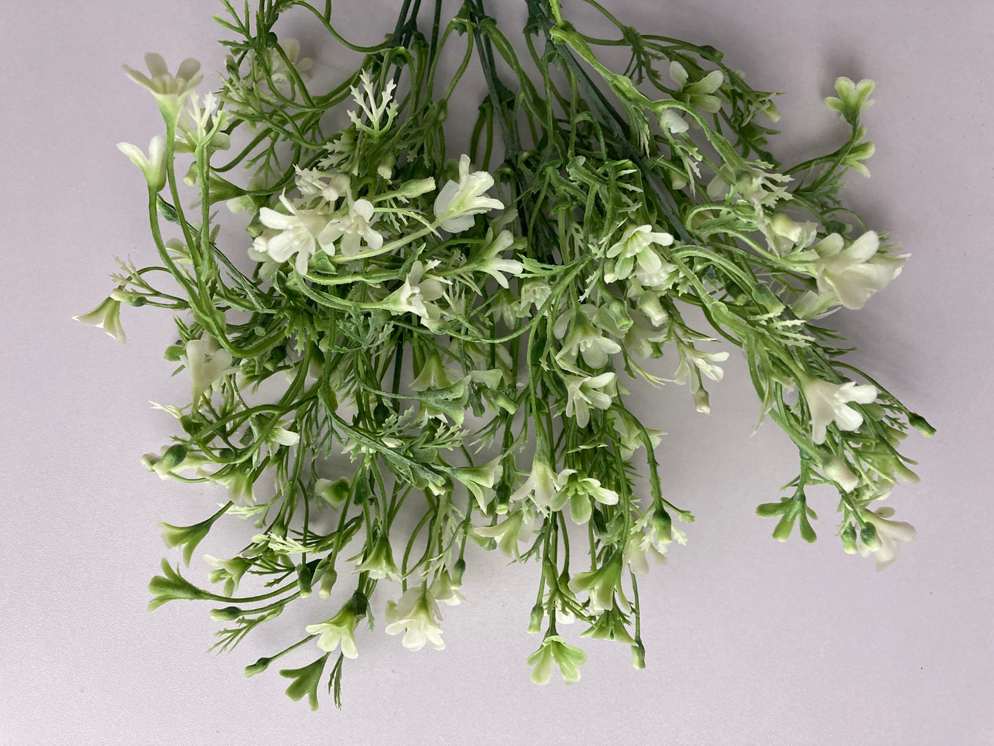 White & Green Flowered Foliage