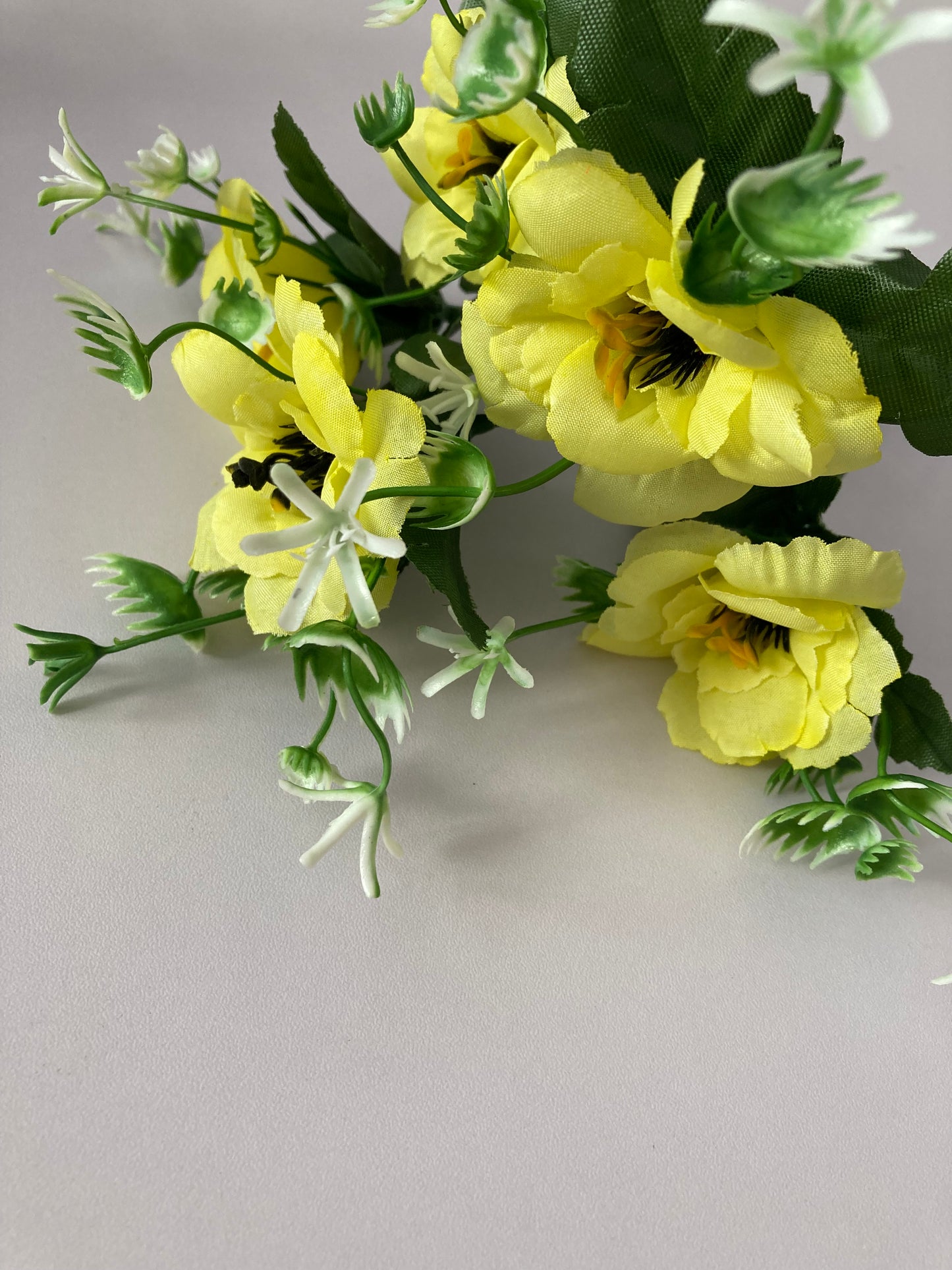 5 Bright Yellow Anemone Bunch