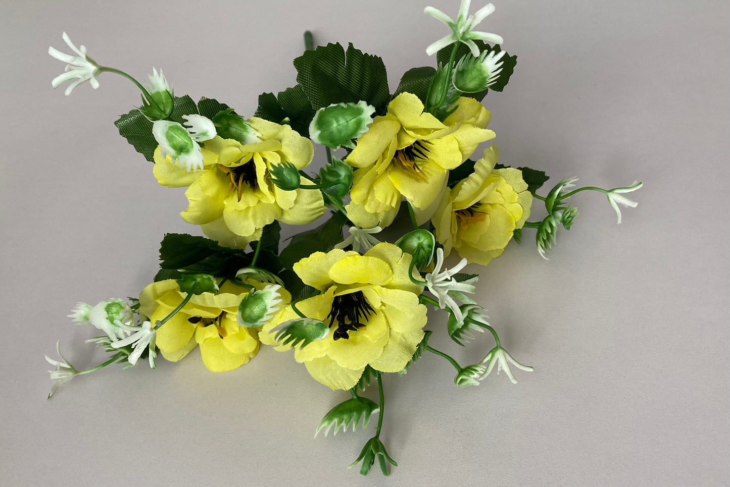 5 Bright Yellow Anemone Bunch