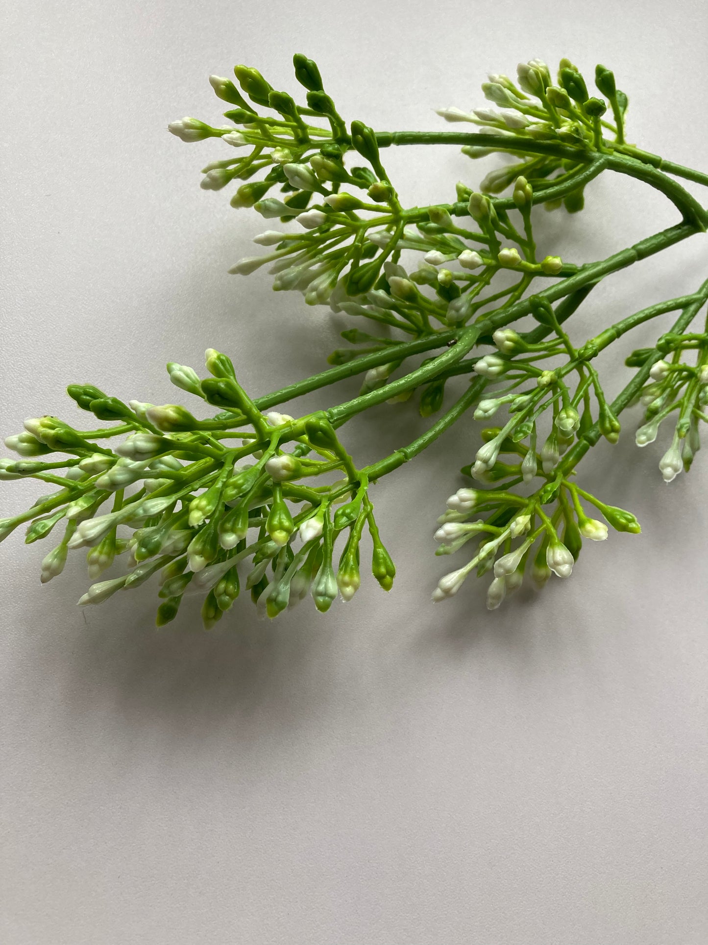 White Berry Spray