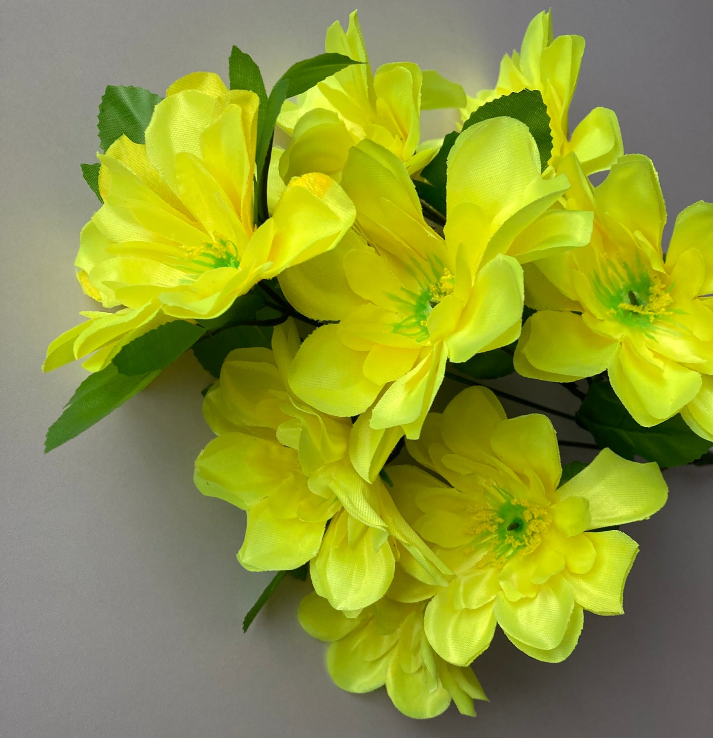 Yellow Dahlia Bunch