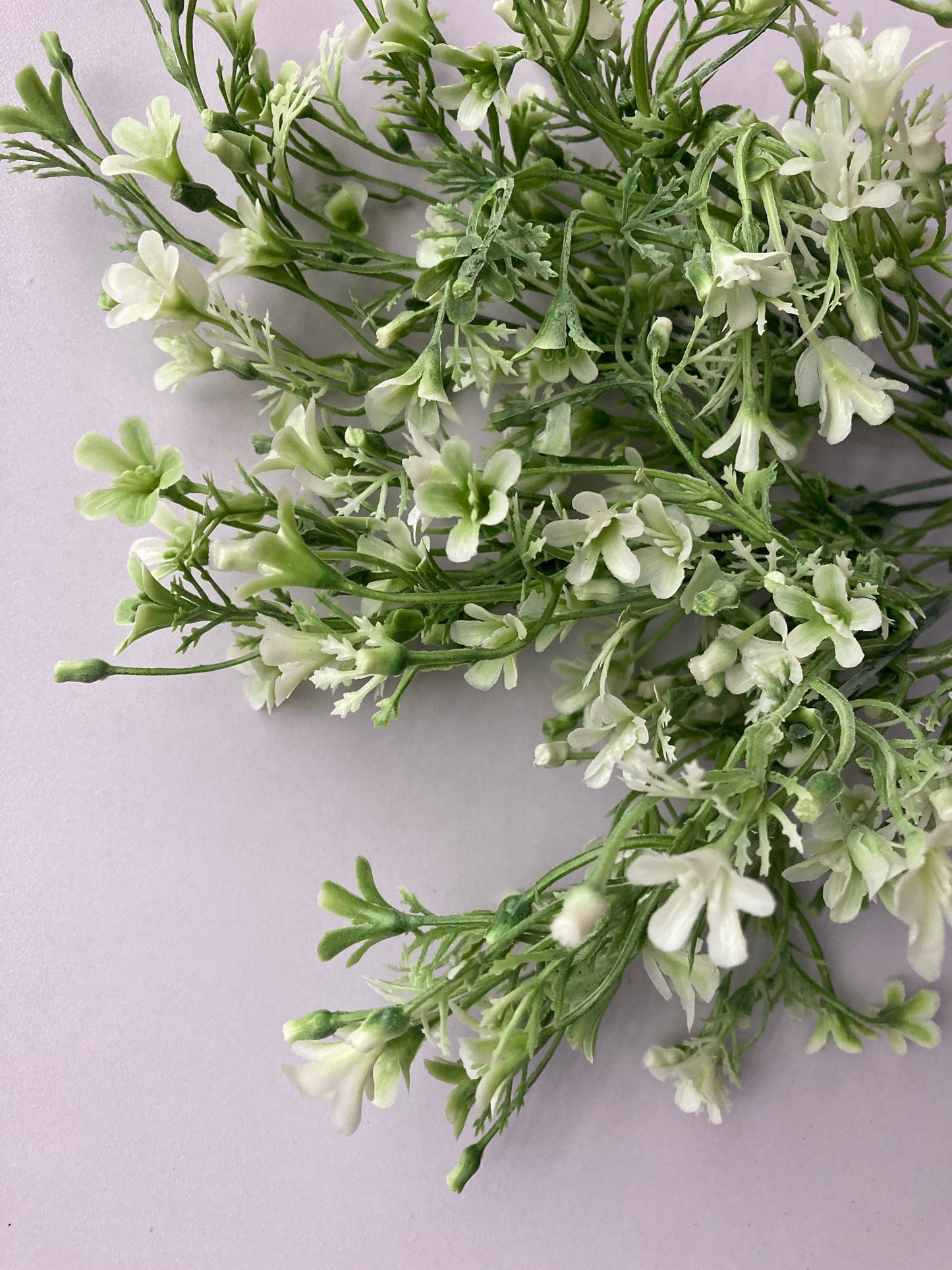 White & Green Flowered Foliage