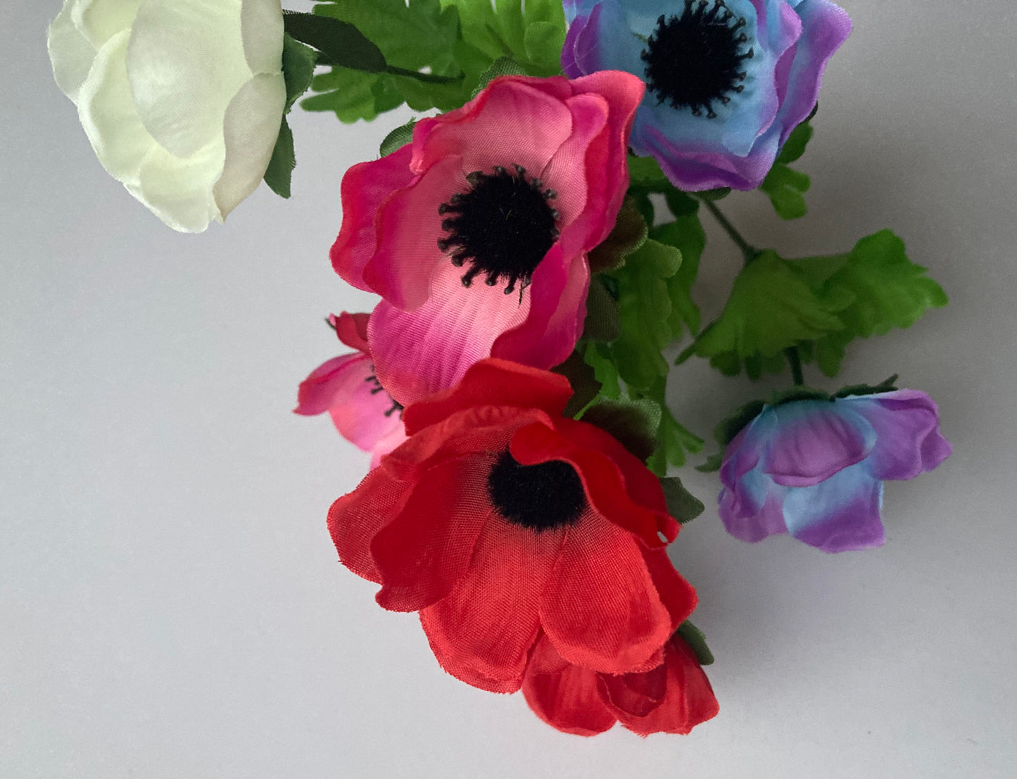 Colourful Anemone Bunch