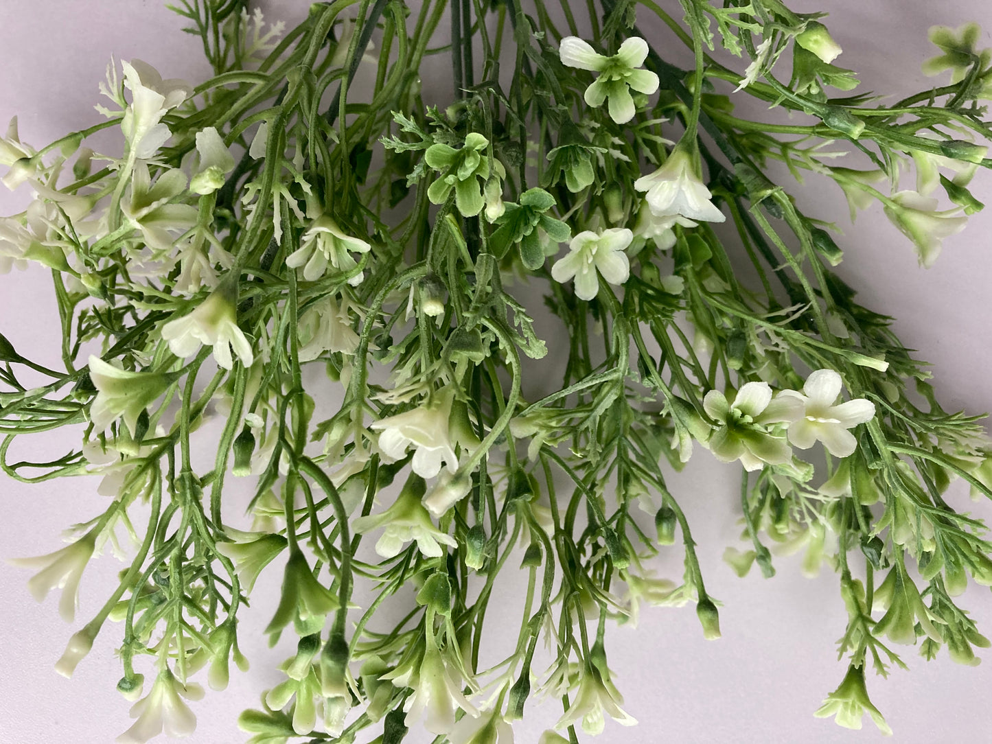White & Green Flowered Foliage
