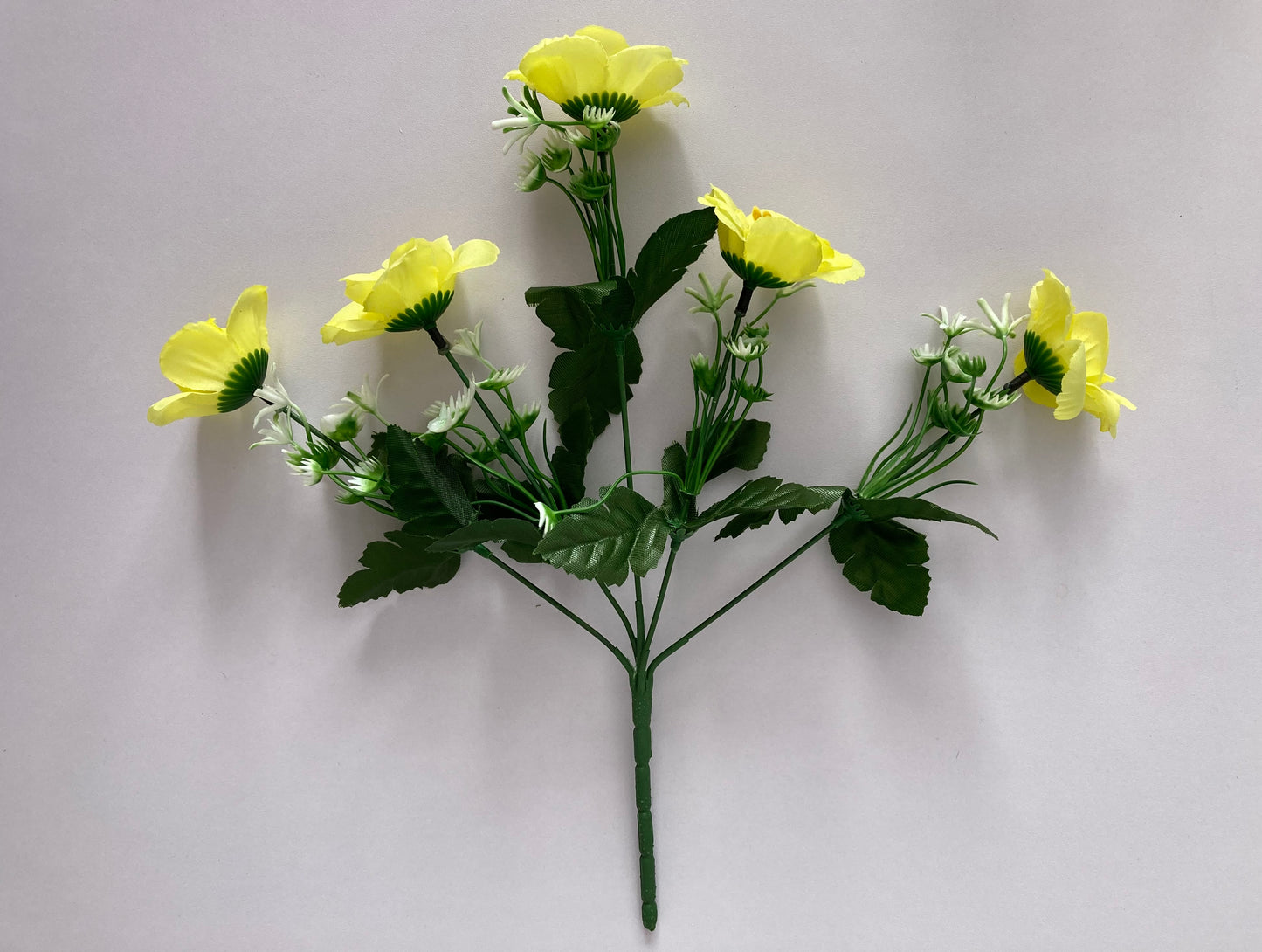 5 Bright Yellow Anemone Bunch