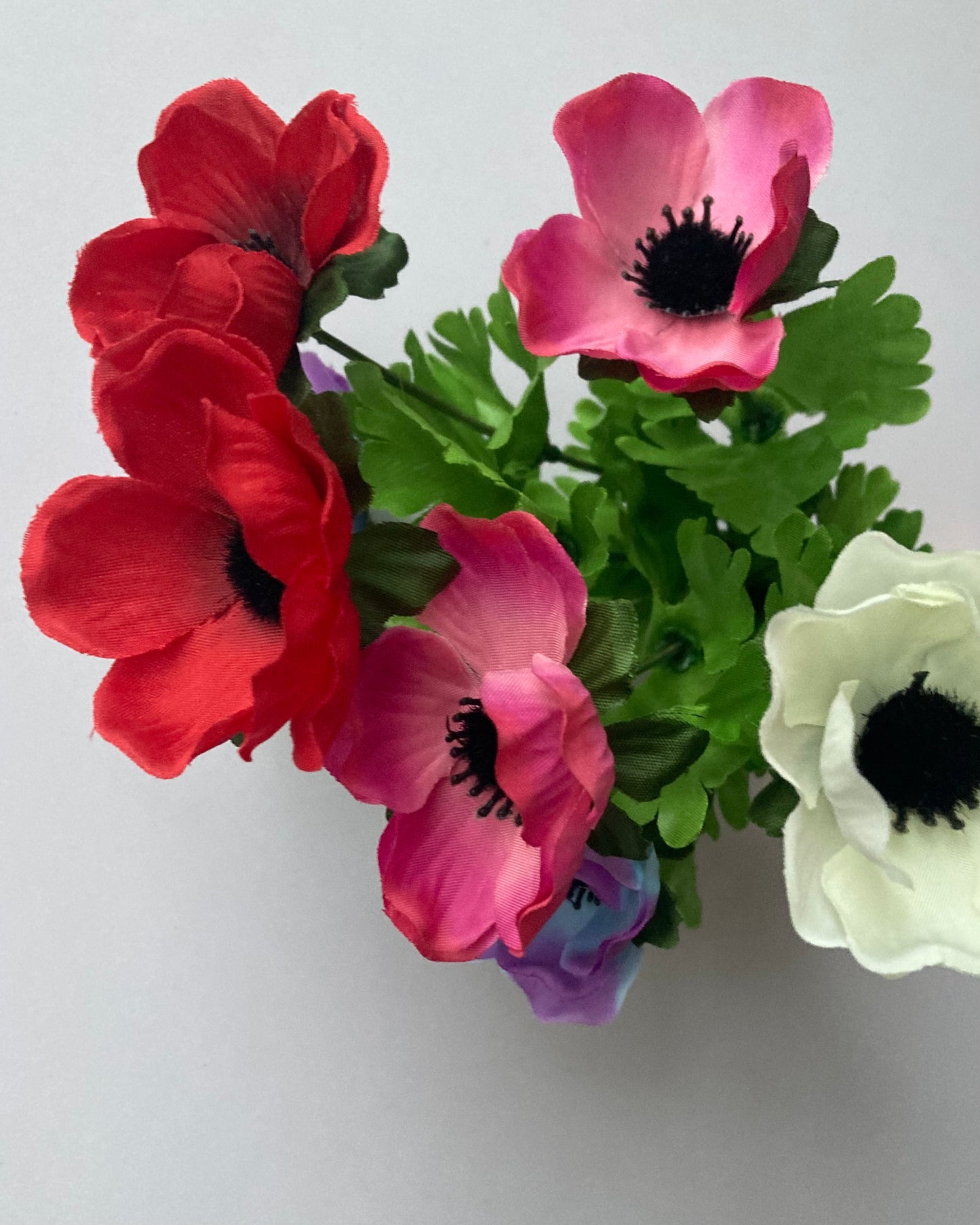 Colourful Anemone Bunch