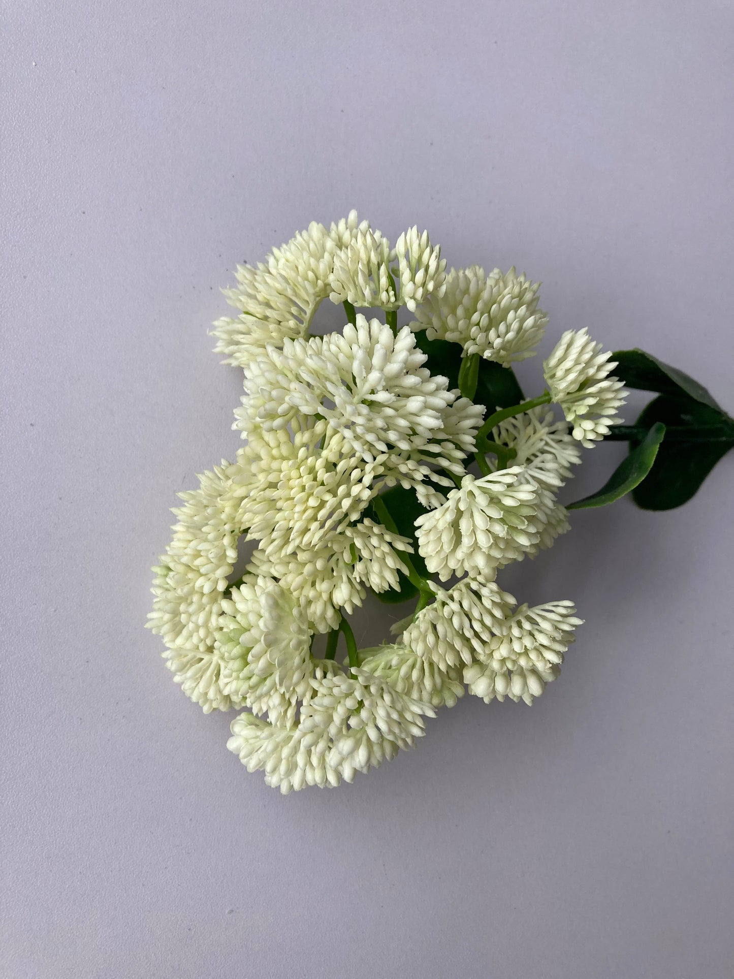 White/Ivory Sedum Spray