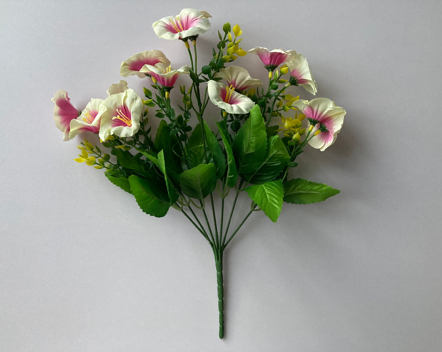 Pink Centre Morning Glory Bunch