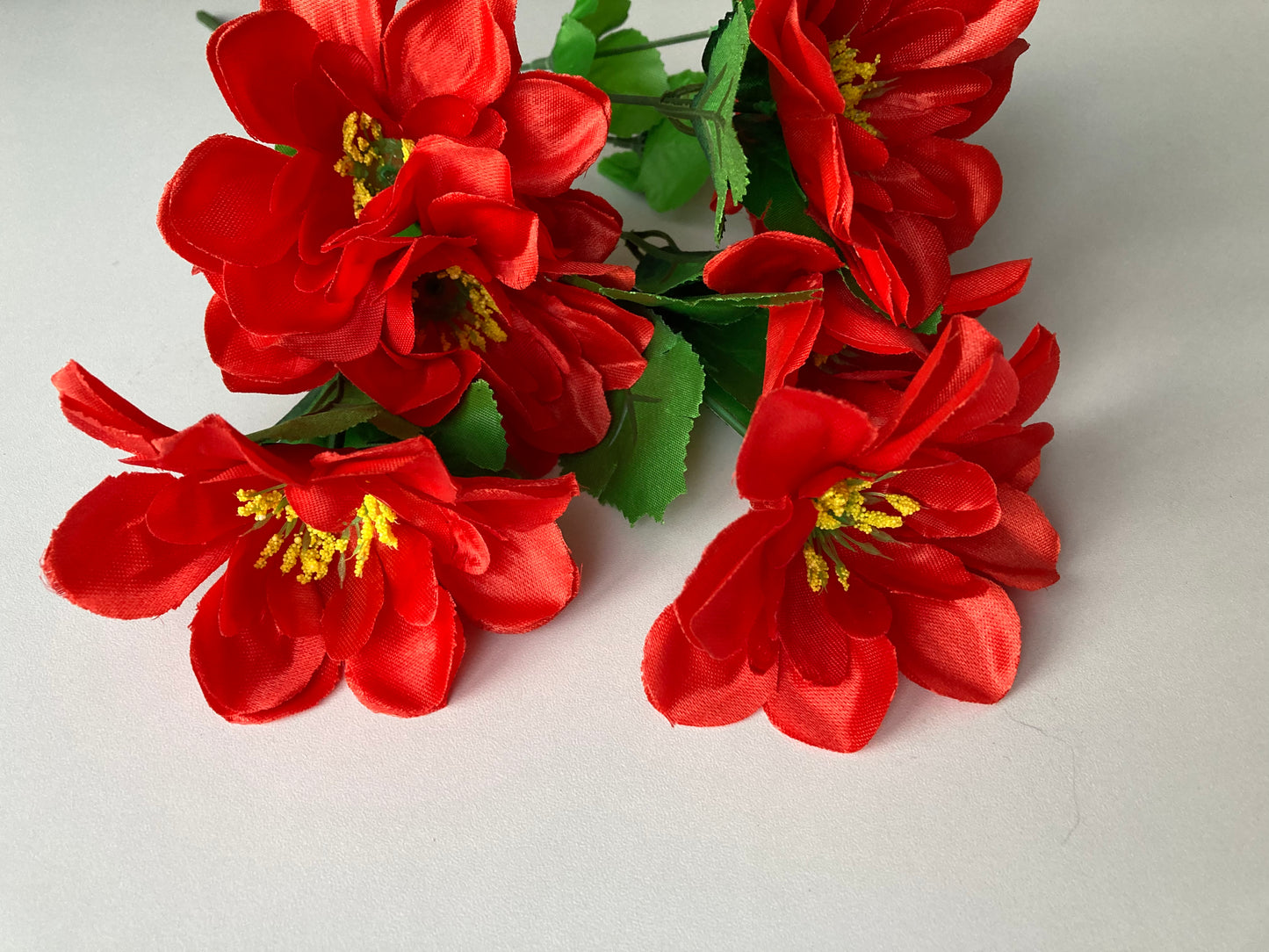 Red Dahlia Bunch