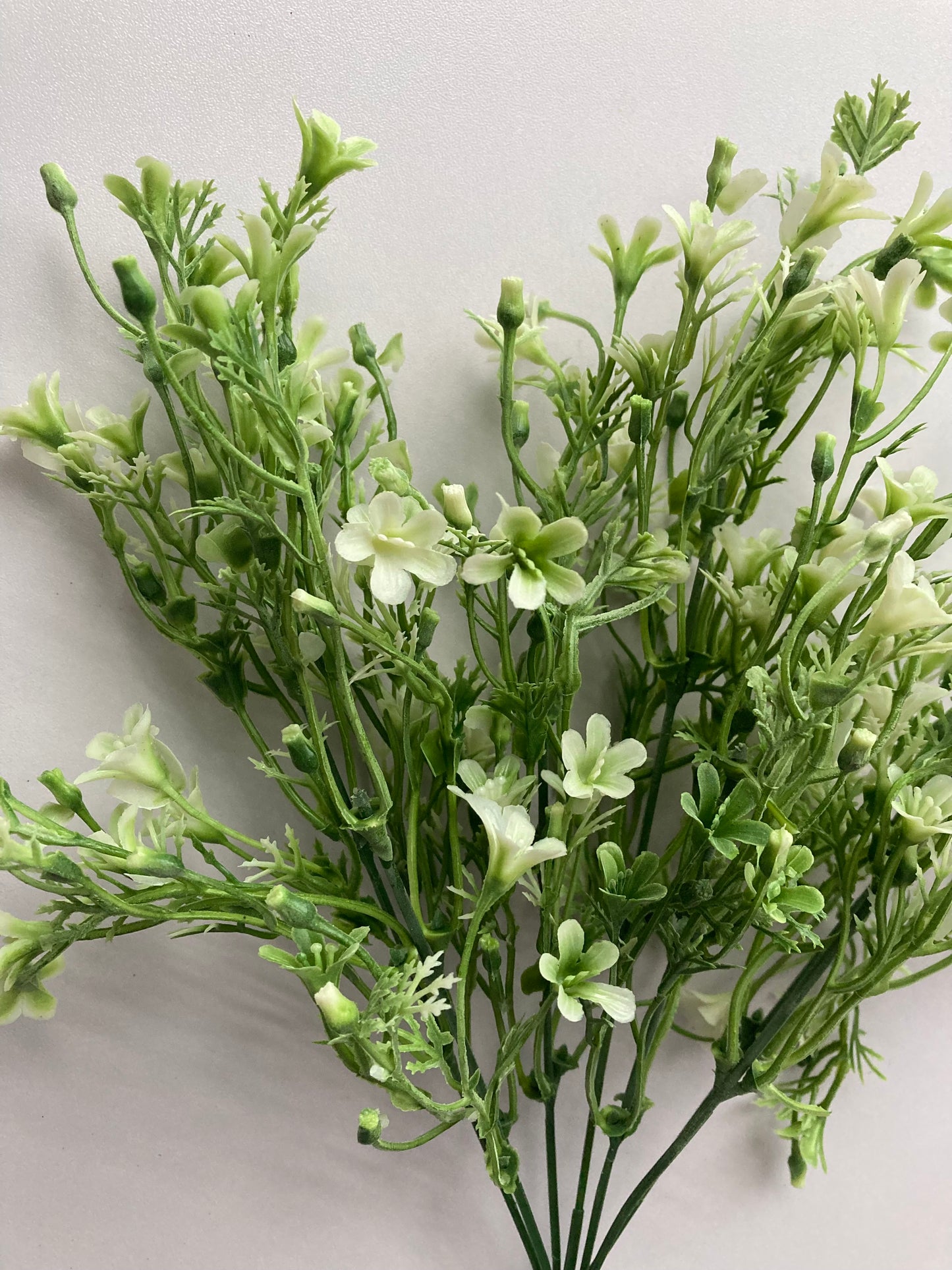 White & Green Flowered Foliage