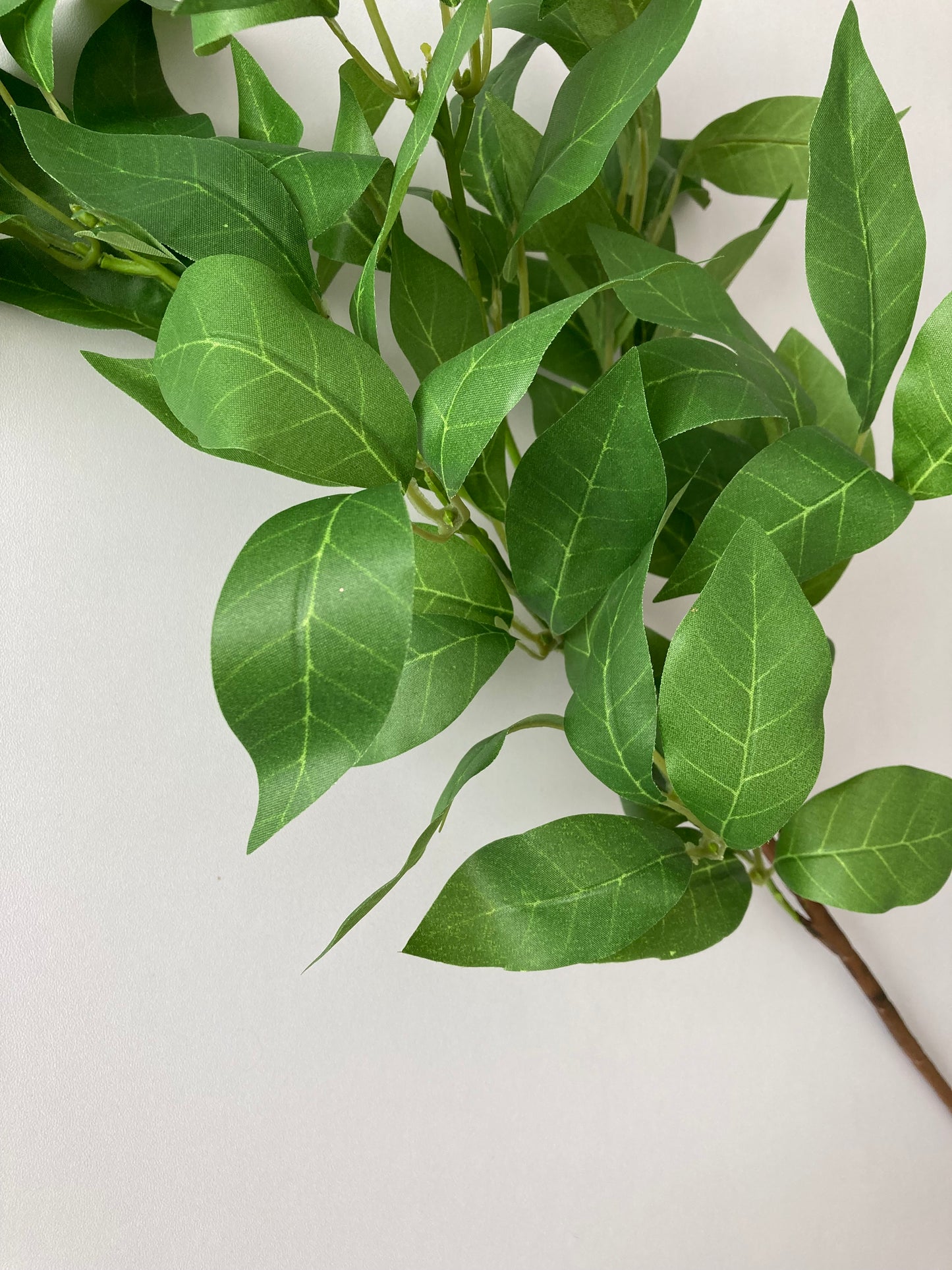 Large Shikibi Leaf Spray