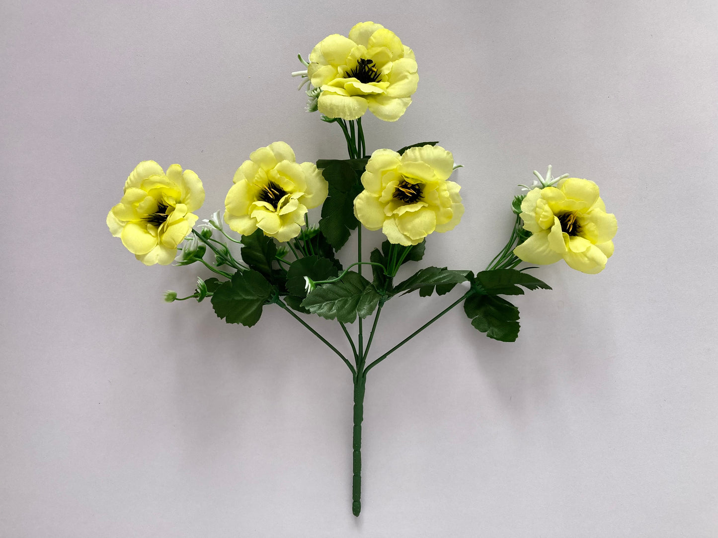 5 Bright Yellow Anemone Bunch