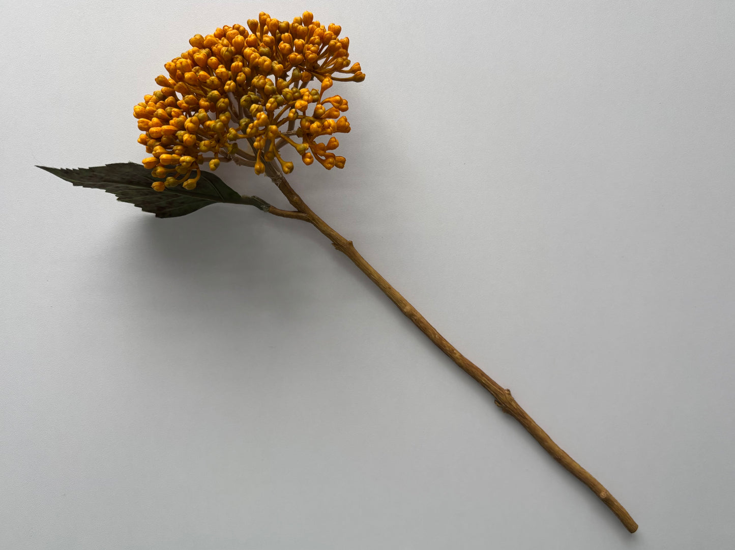 Mustard/Yellow Hydrangea Berry Stem