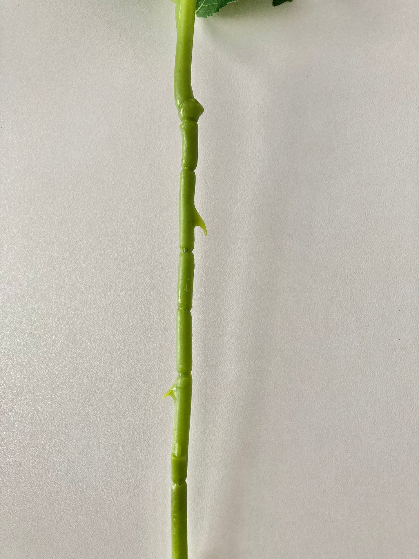 50cm Rainbow Rosebud Single Stem