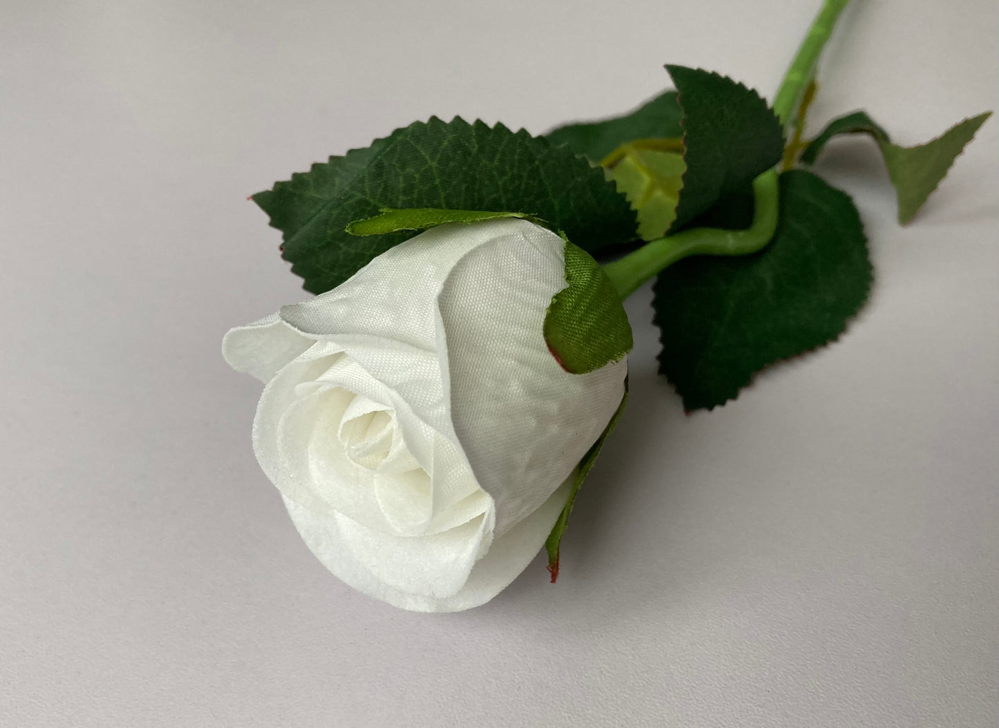 White Velvet Rosebud Stem