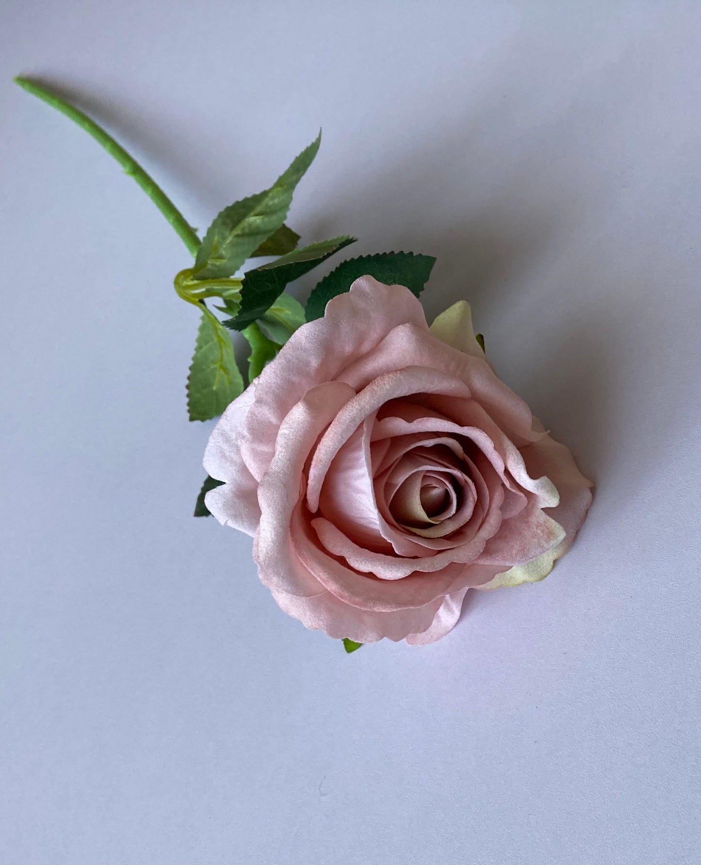 Pink Soft Velvet Rose Stem