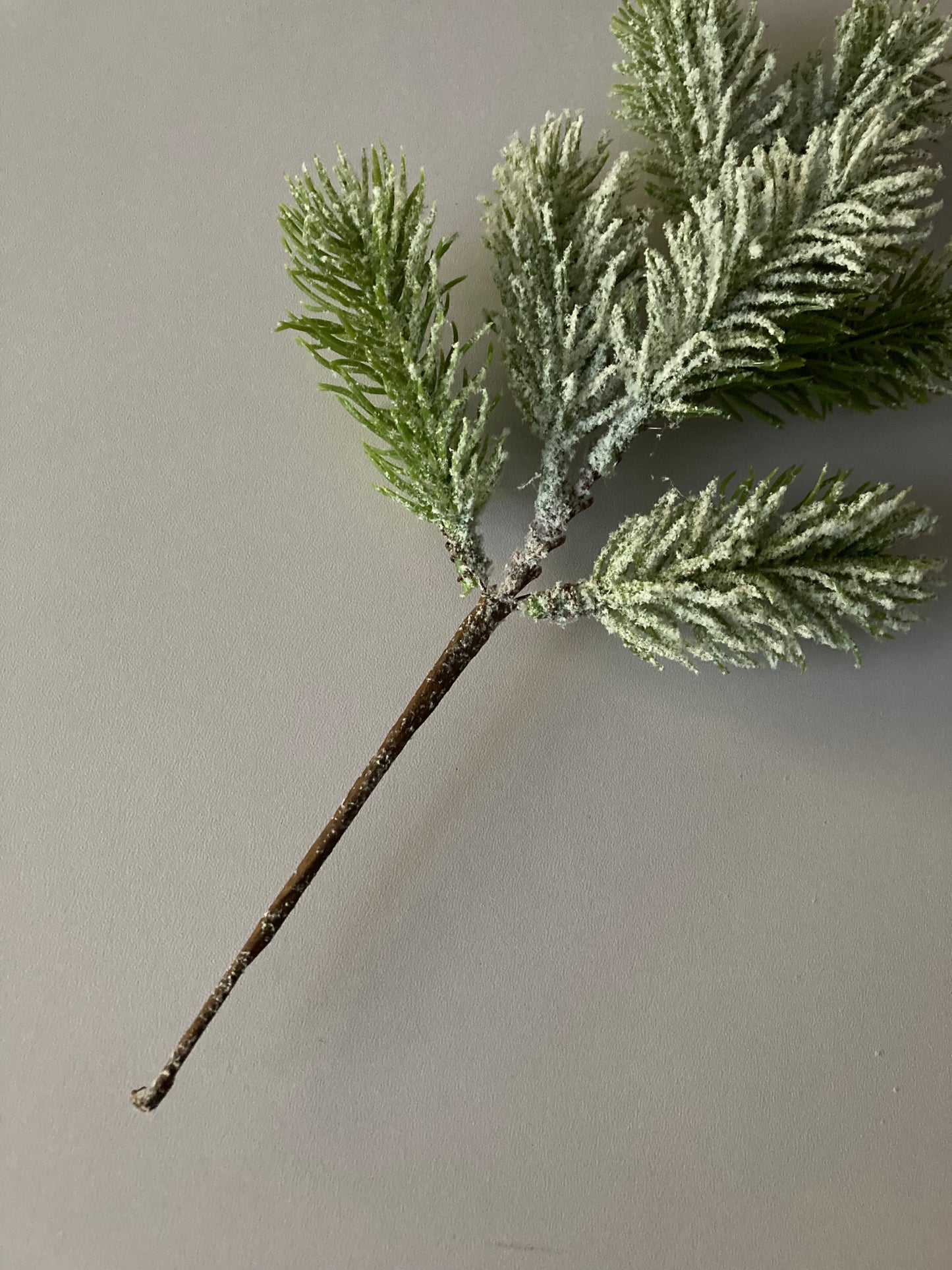 Snowy Spruce Stem