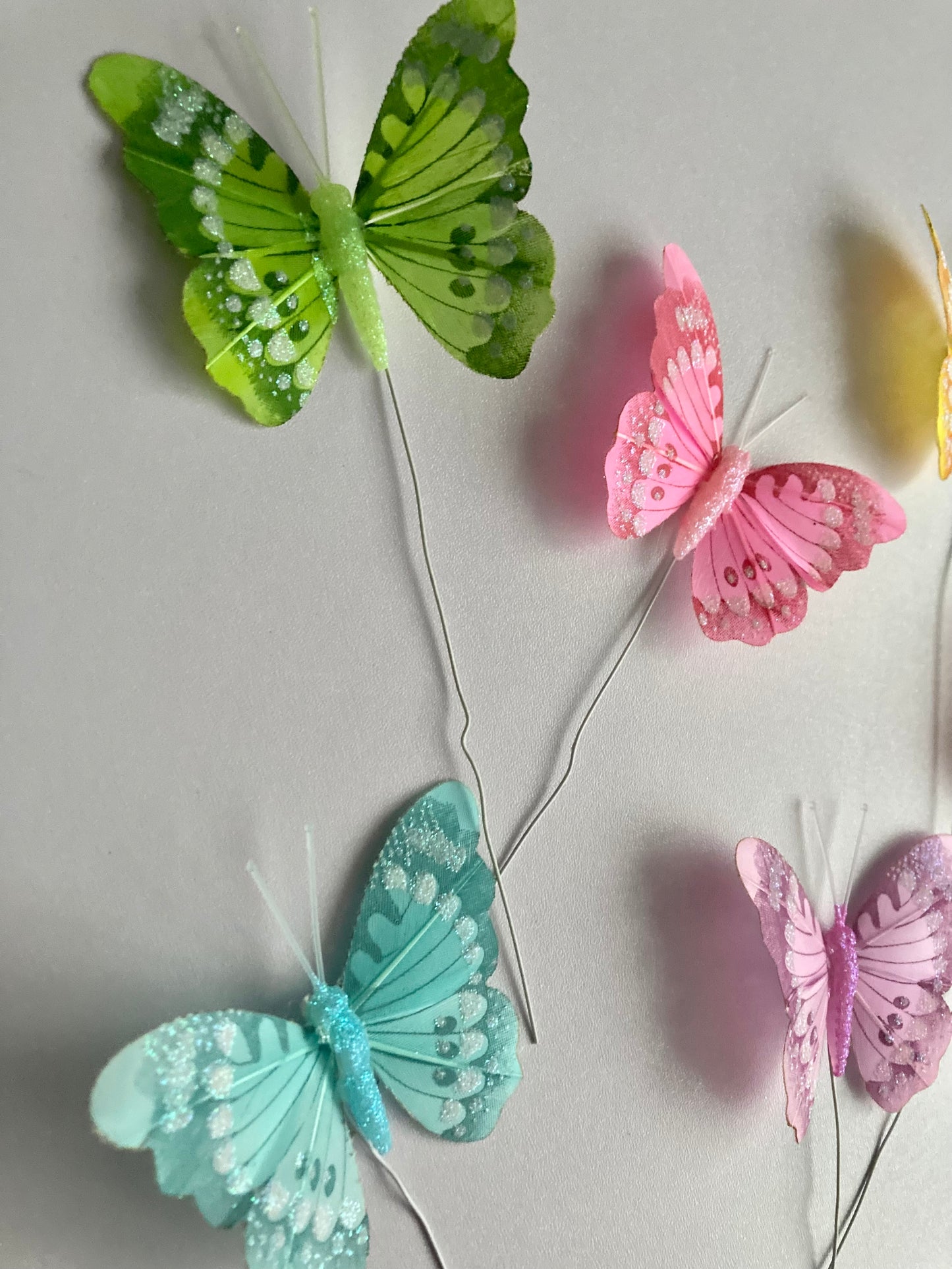 6 Colourful Butterfly Picks