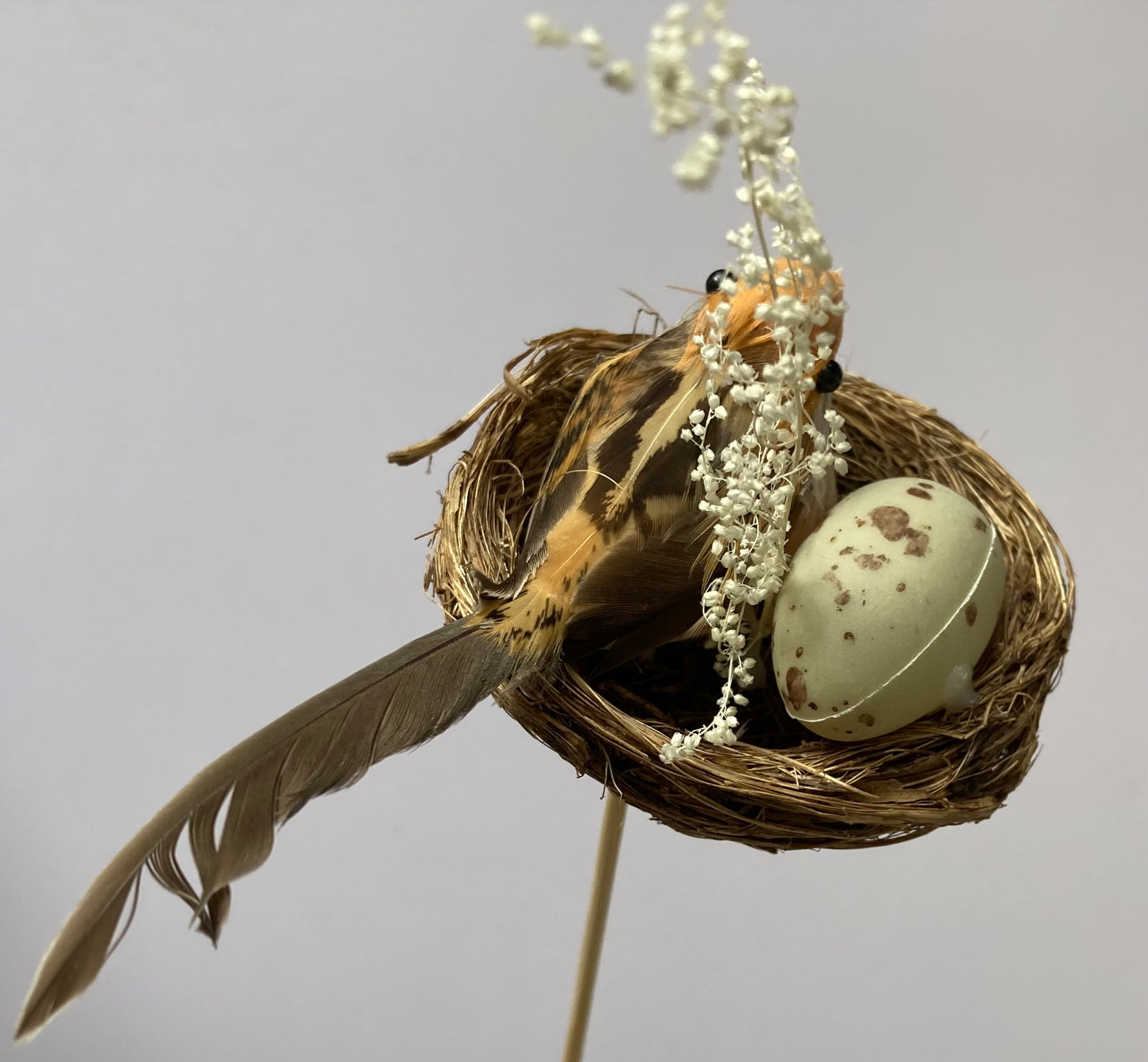 Bird Nest Pick