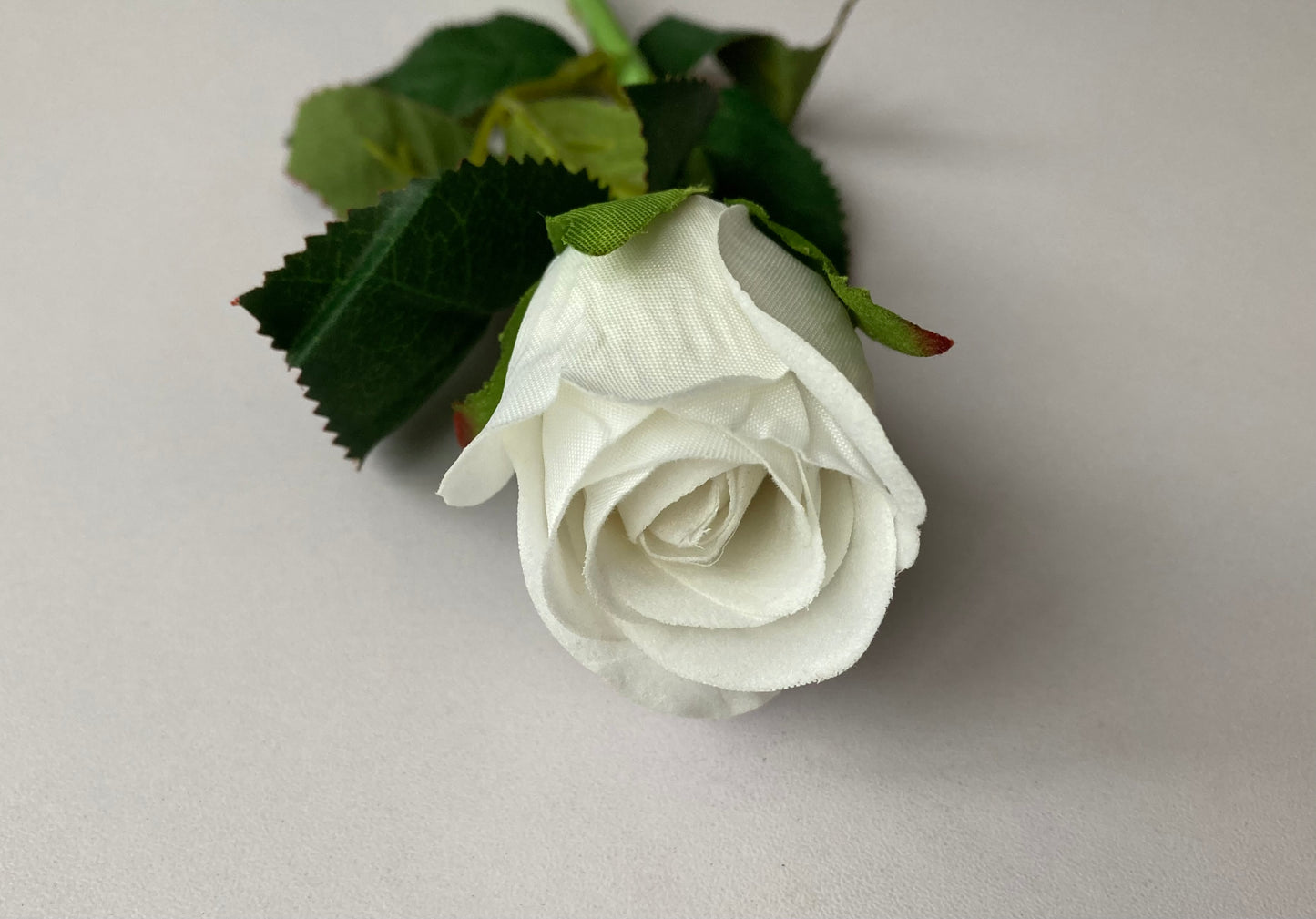 White Velvet Rosebud Stem