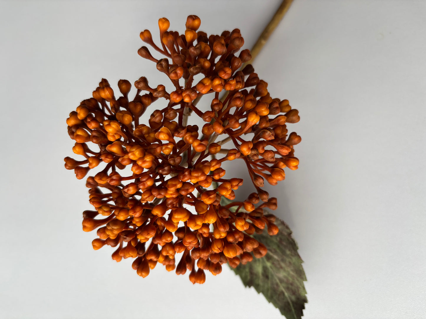 Autumn Hydrangea Berry Stem Orange