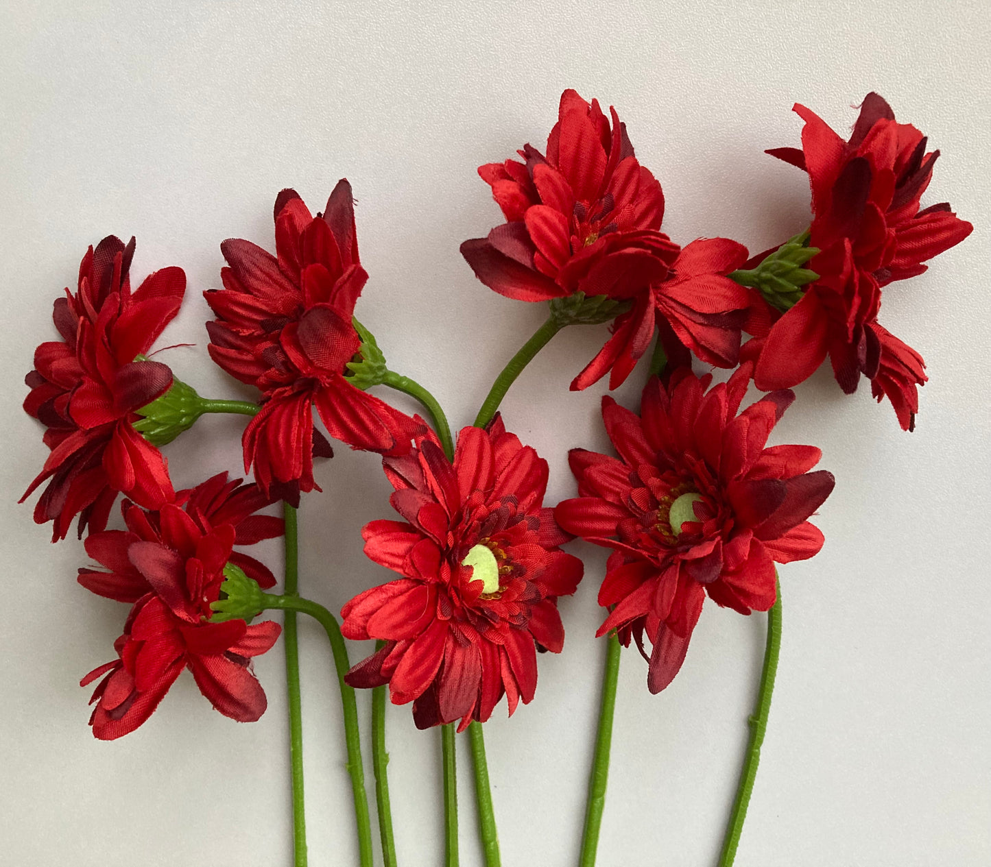 Red Gerbera Bunch