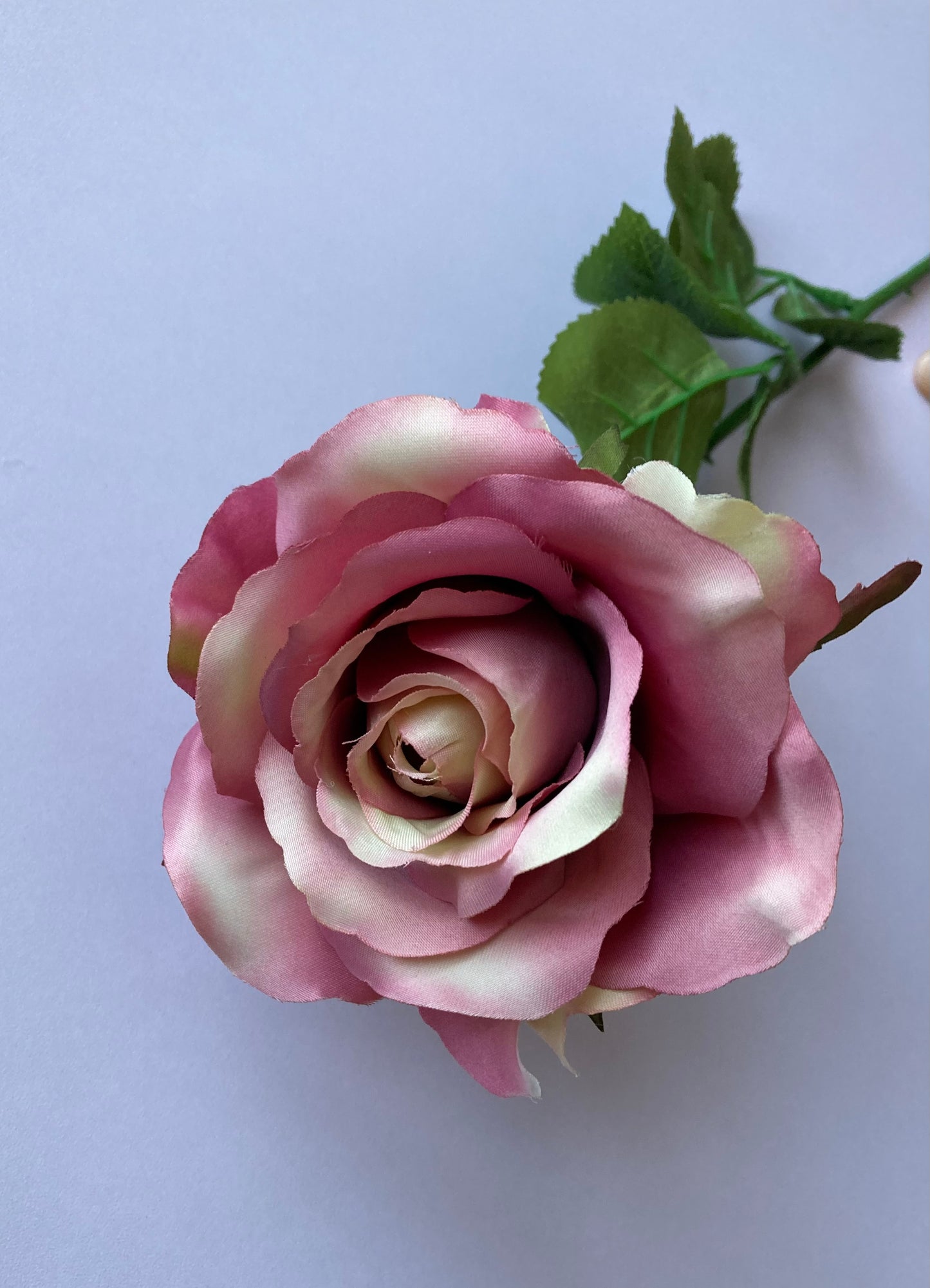 Elegant Open Deluxe Rose