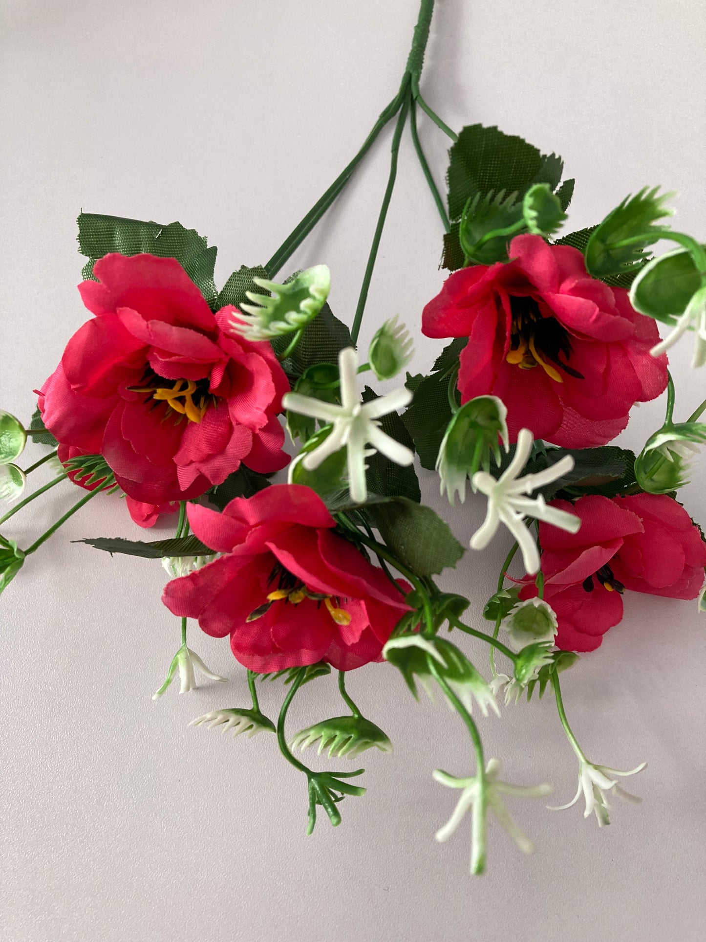 5 Bright Pink Anemone Bunch