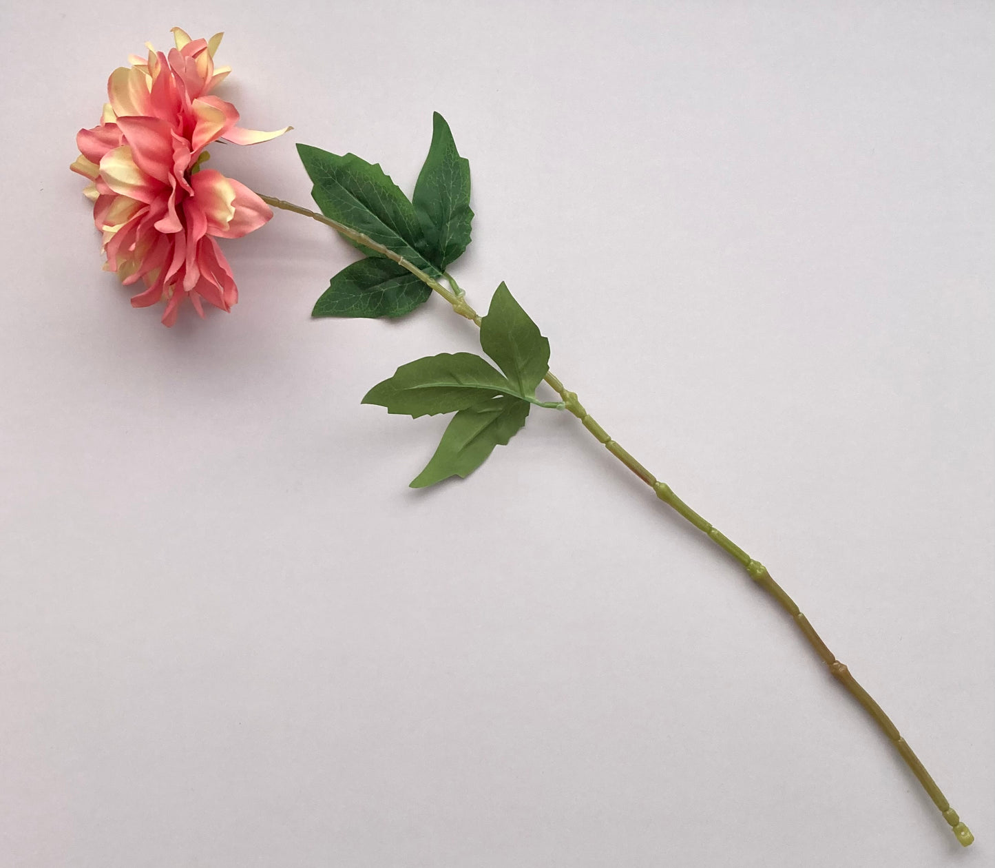 Large Dahlia Single Stem