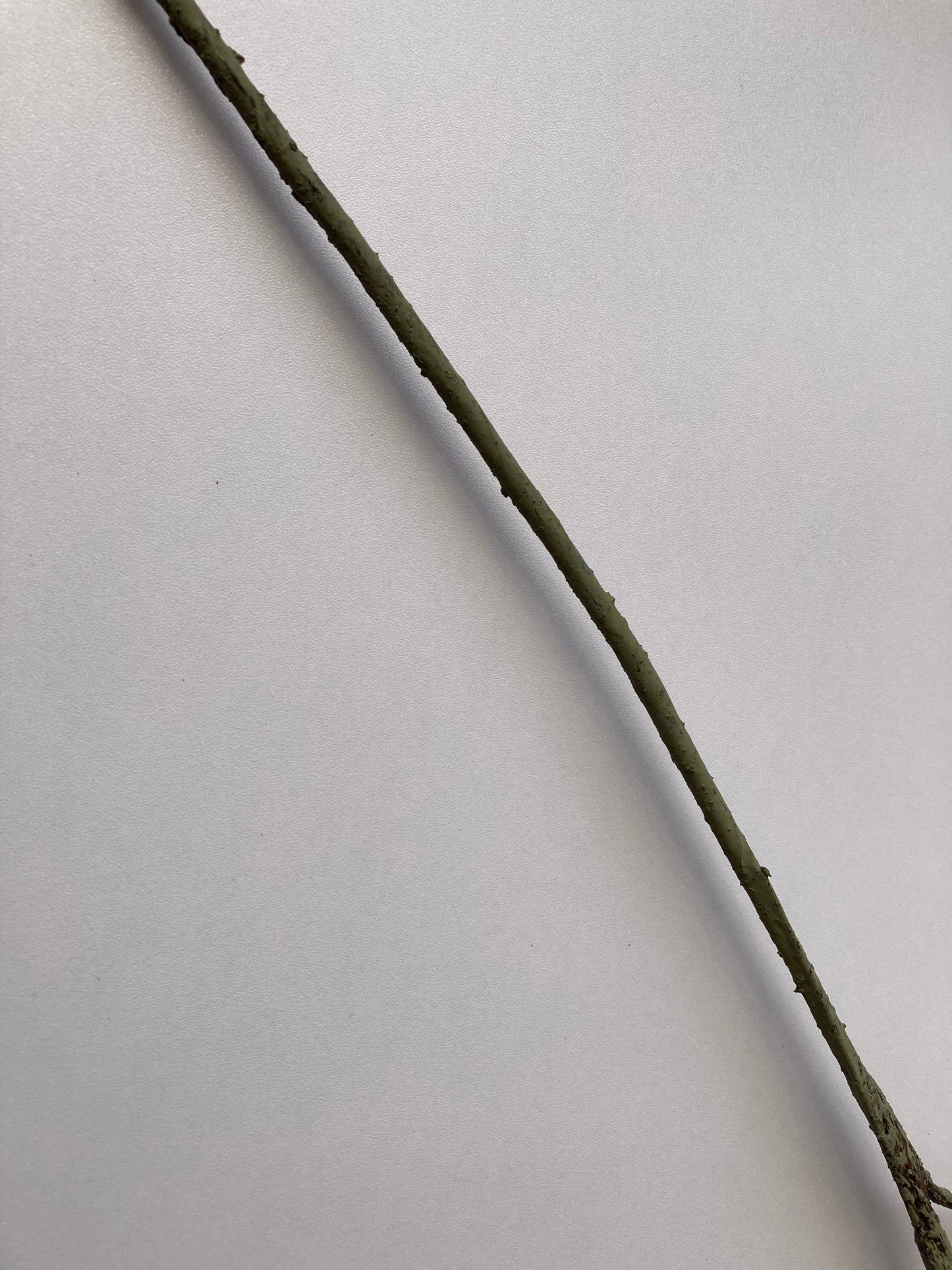 Orange Pumpkin Spray