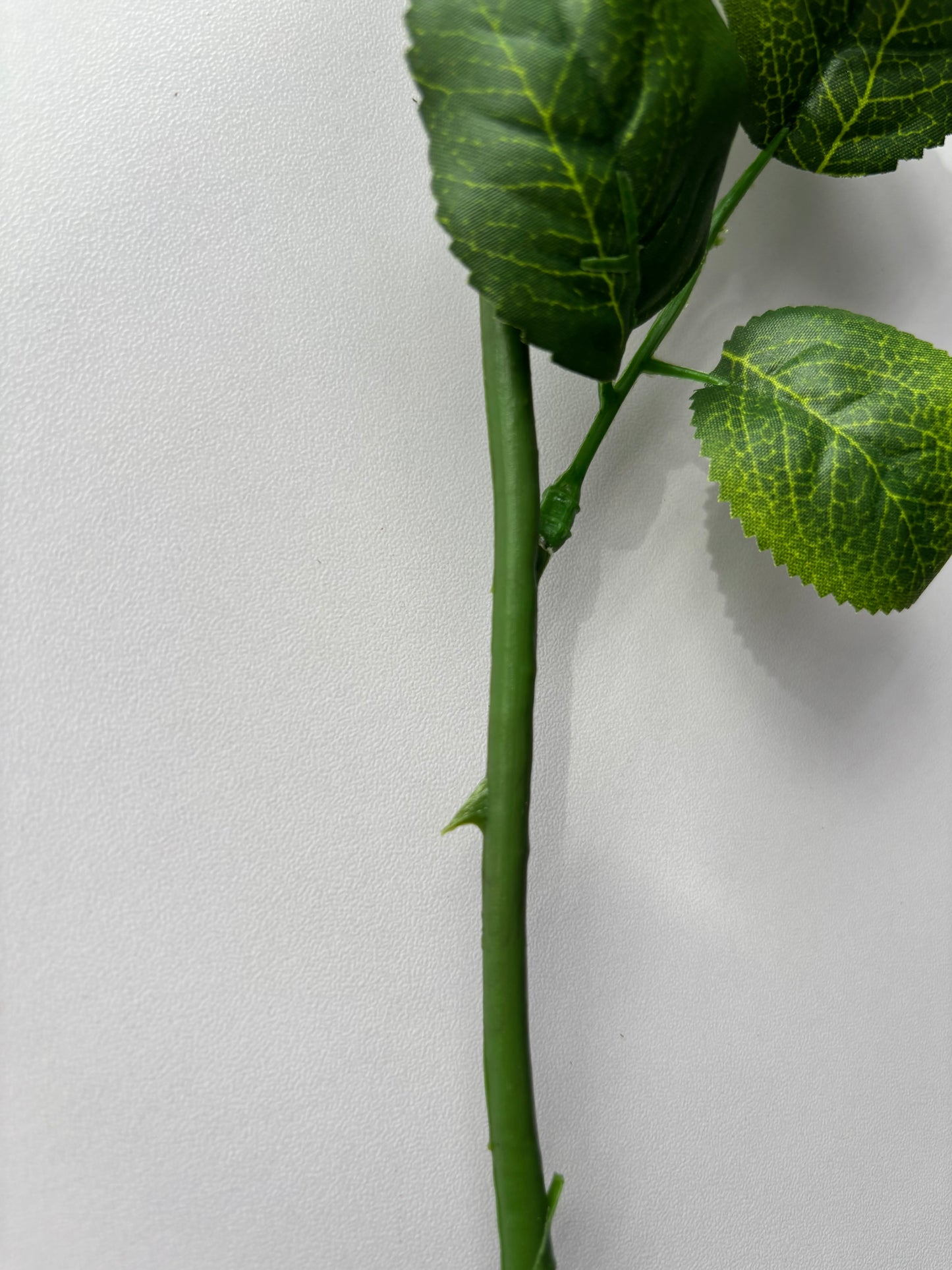 67cm Orange Rose Single Long Stem