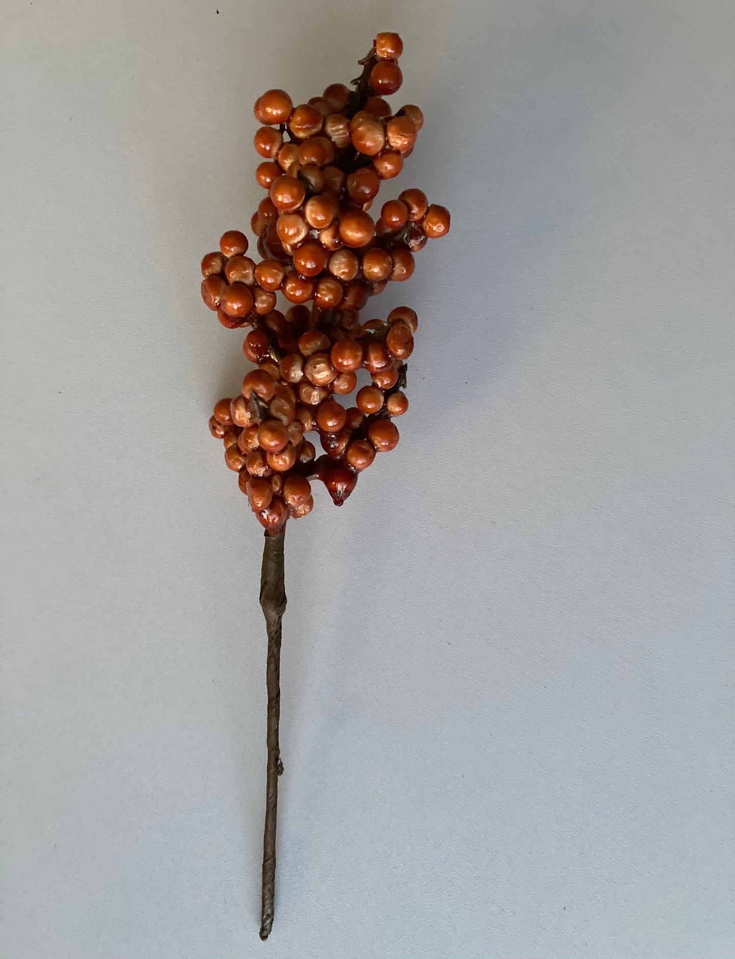 Orange Berry Cluster