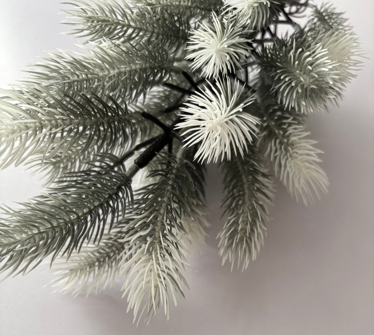 Small Snowy Spruce Tree