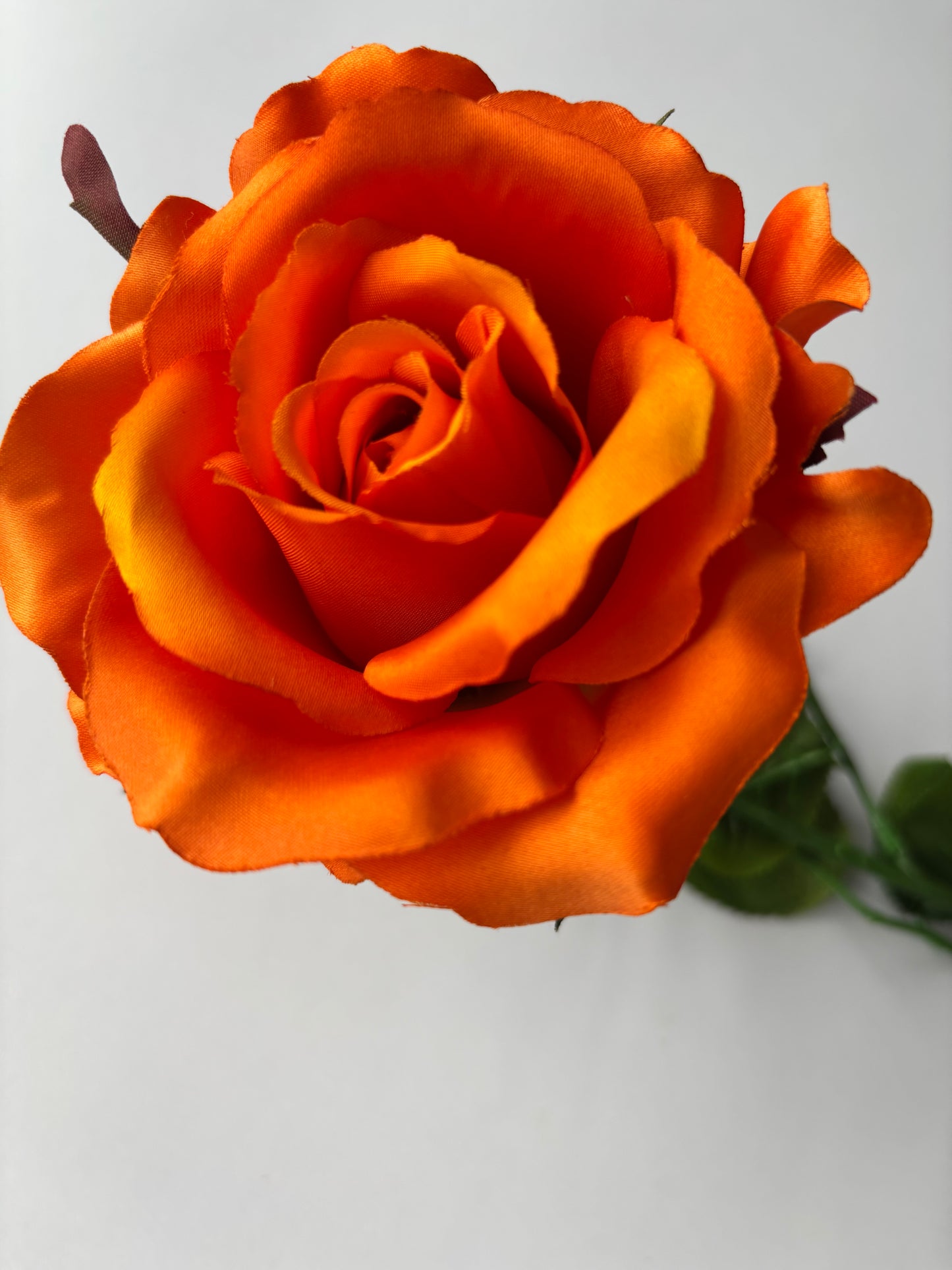 67cm Orange Rose Single Long Stem