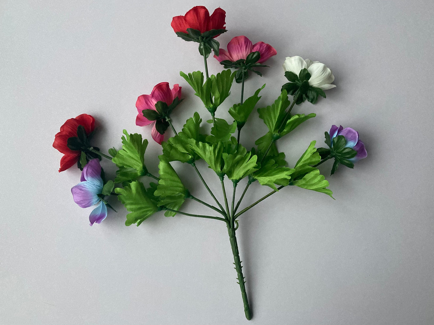 Colourful Anemone Bunch