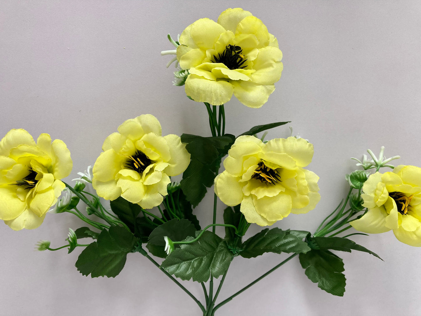 5 Bright Yellow Anemone Bunch