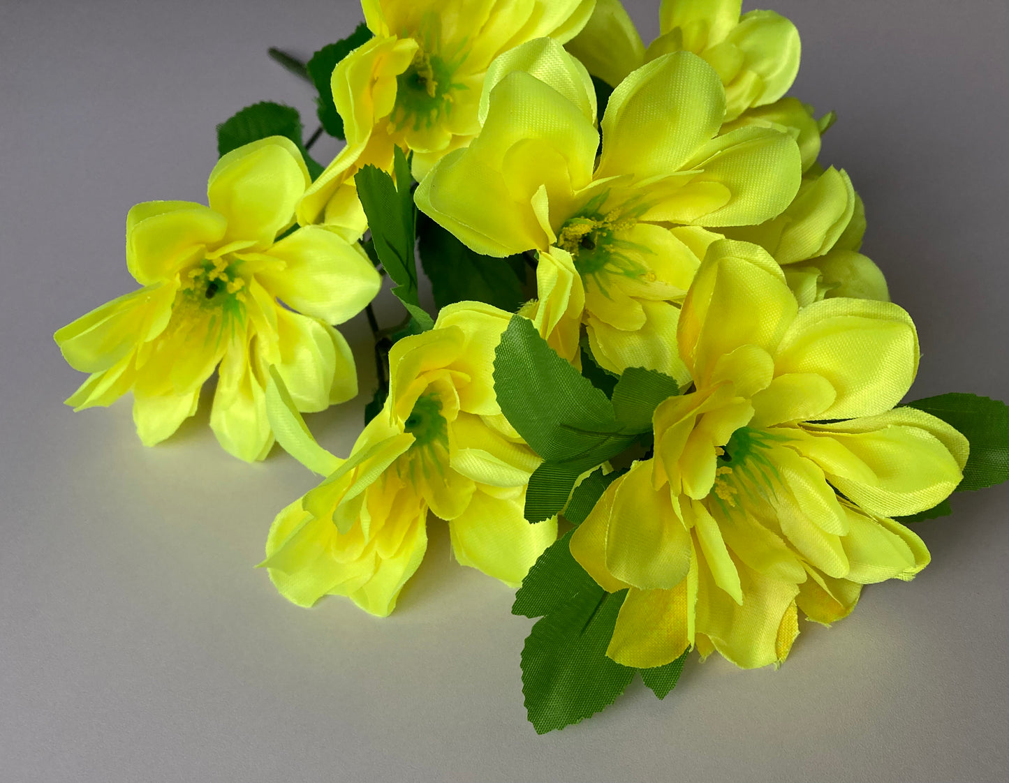 Yellow Dahlia Bunch