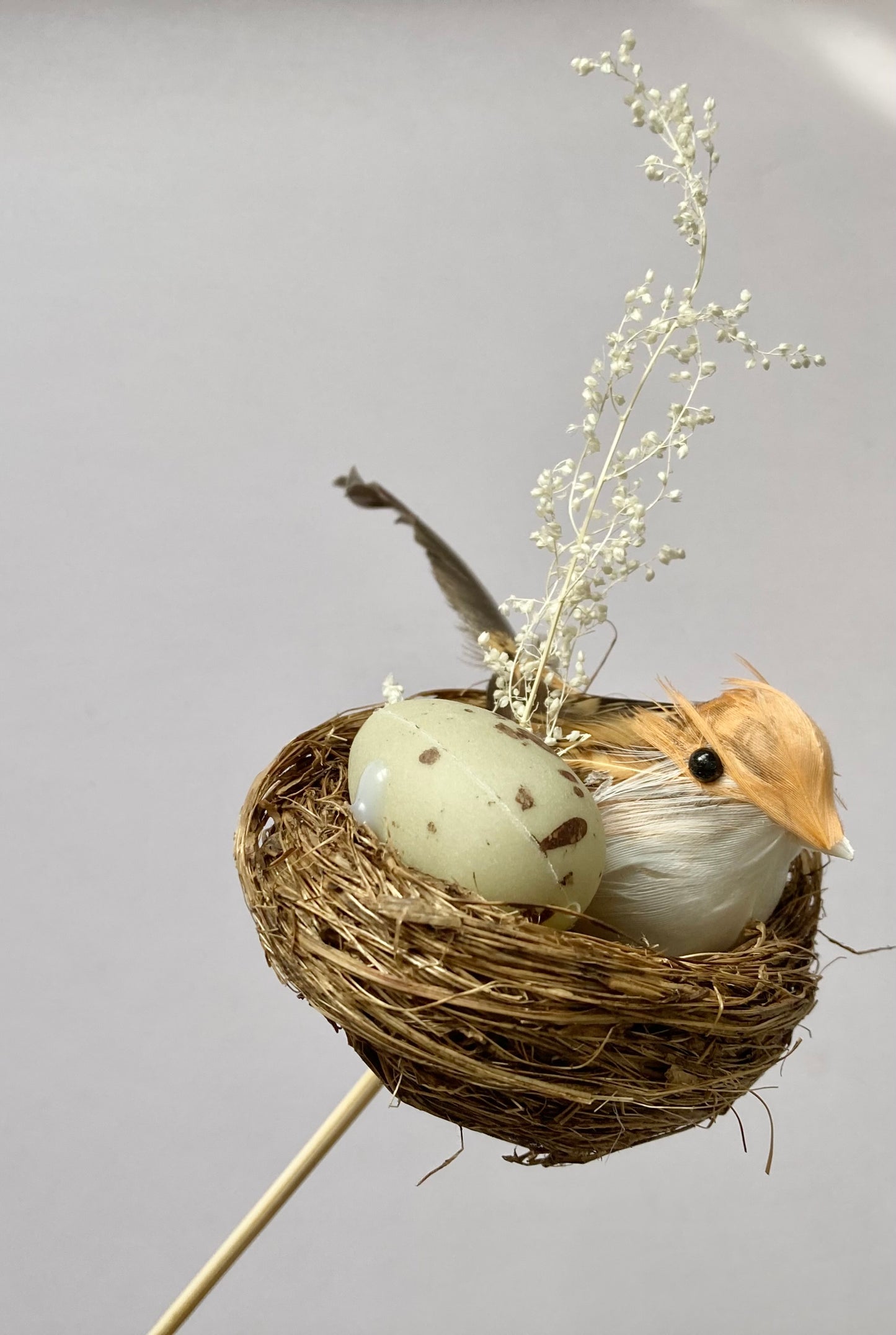 Bird Nest Pick