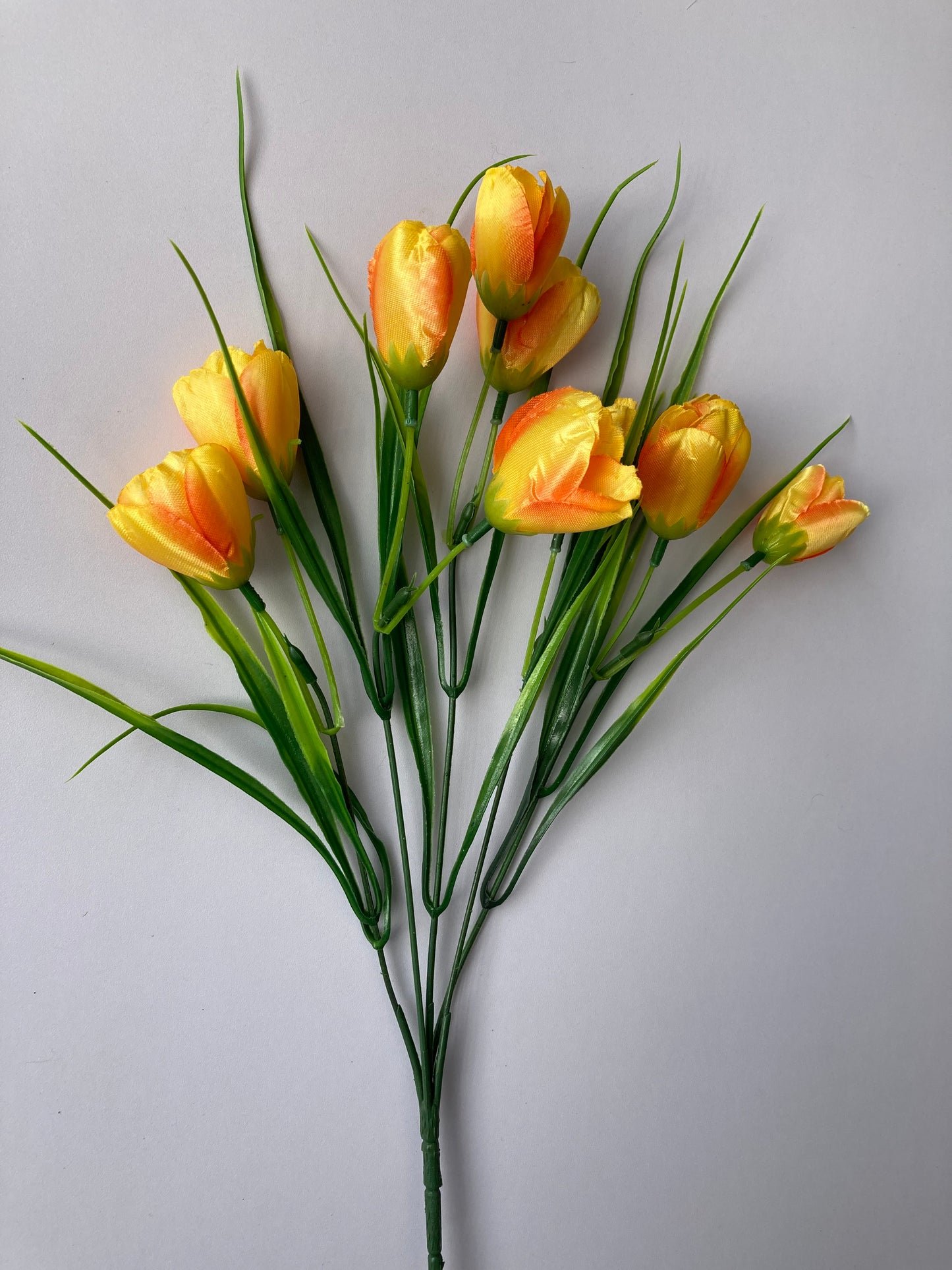 Yellow Tulip Bunch