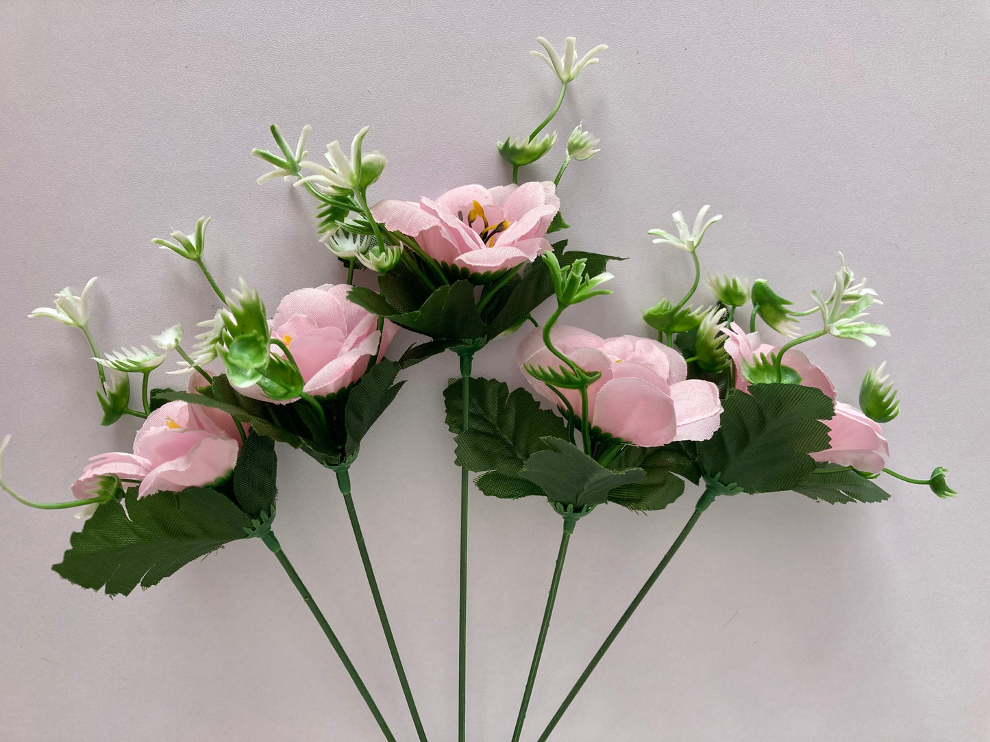 5 Pink Anemone Bunch