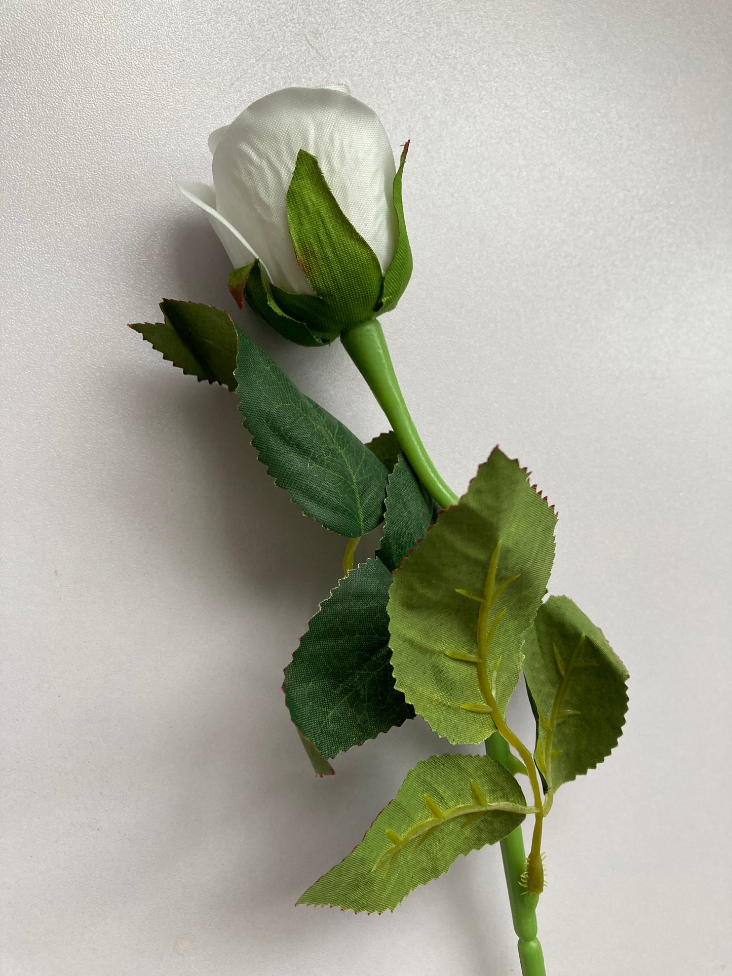 White Velvet Rosebud Stem