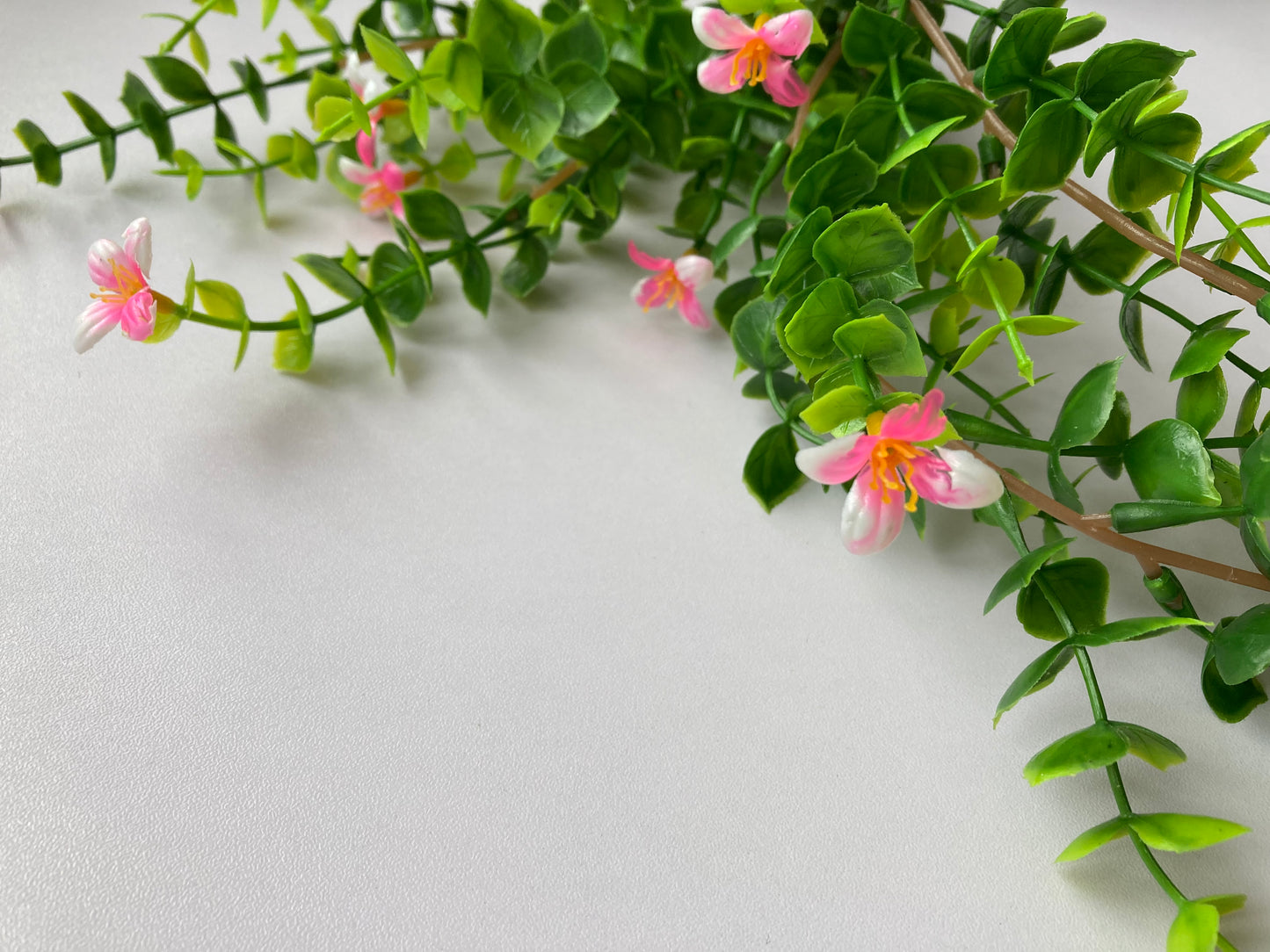 Pink Flowering Trailing