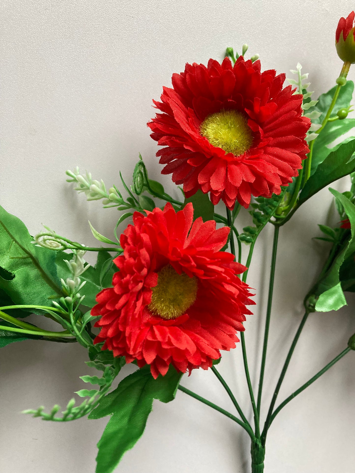 Red Gerbera Daisy Bunch