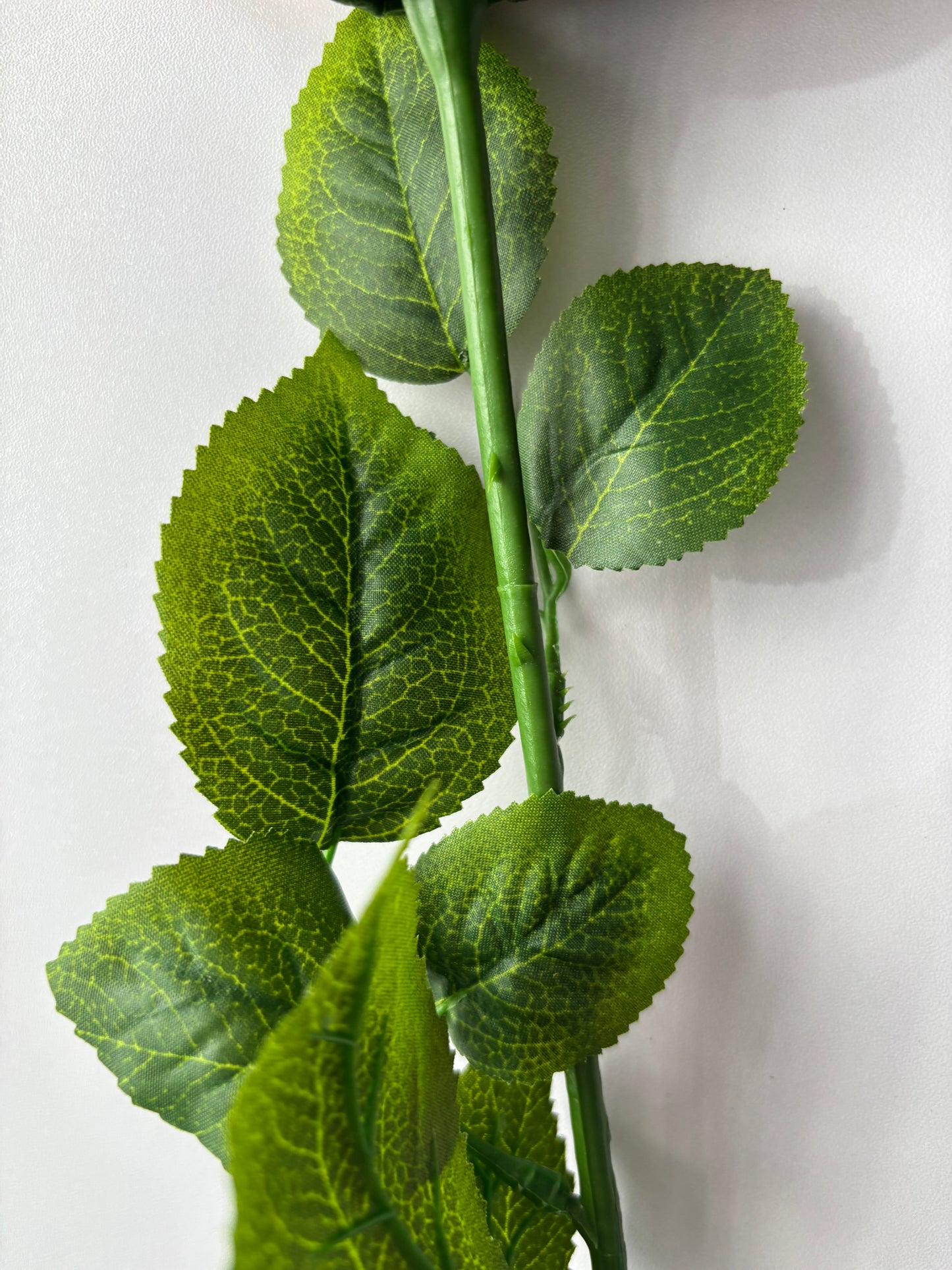 67cm Orange Rose Single Long Stem