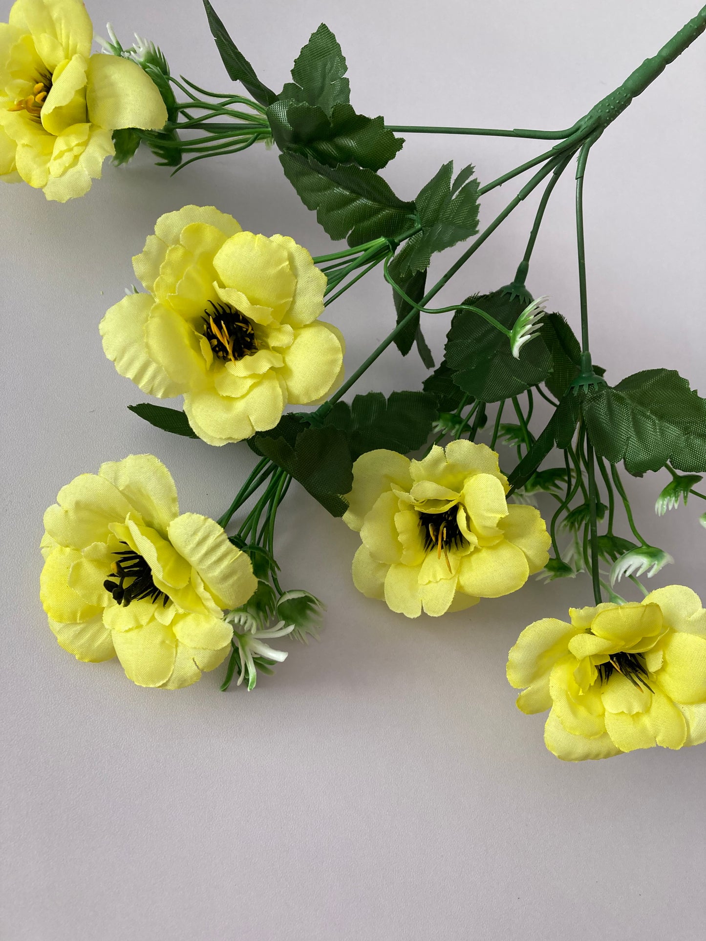 5 Bright Yellow Anemone Bunch