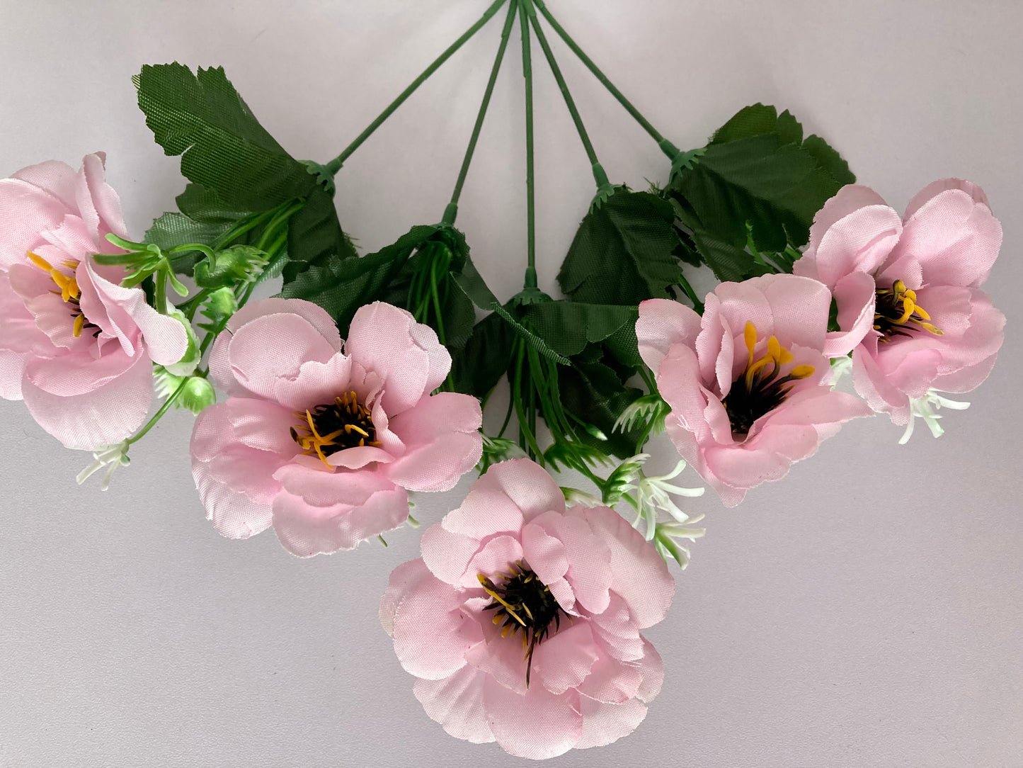 5 Pink Anemone Bunch