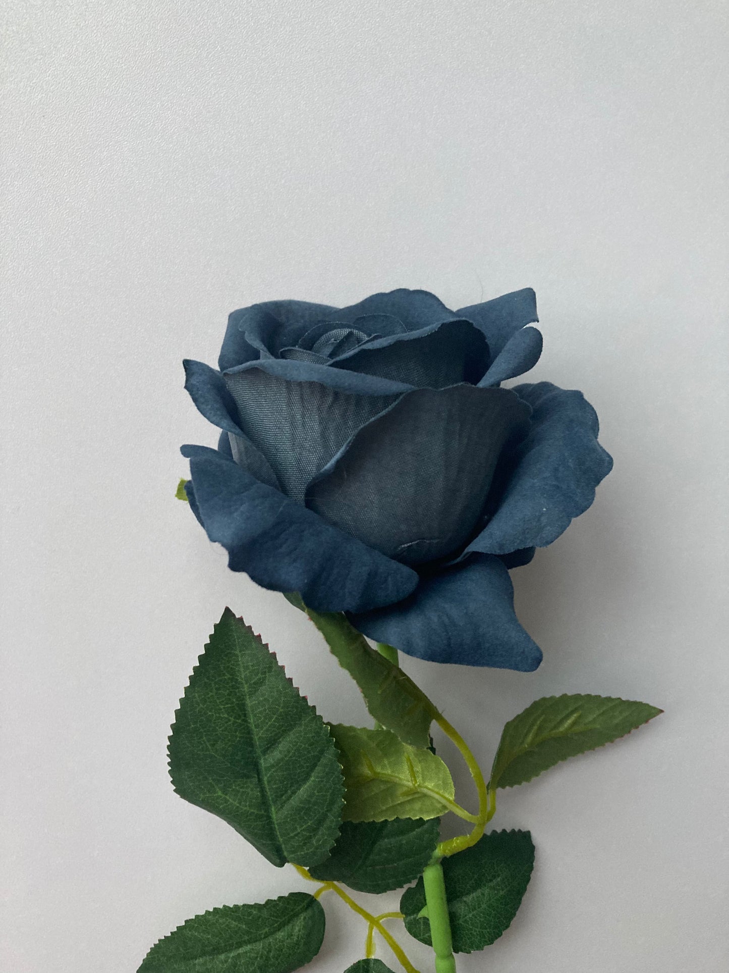 Dark Navy Velvet Rose