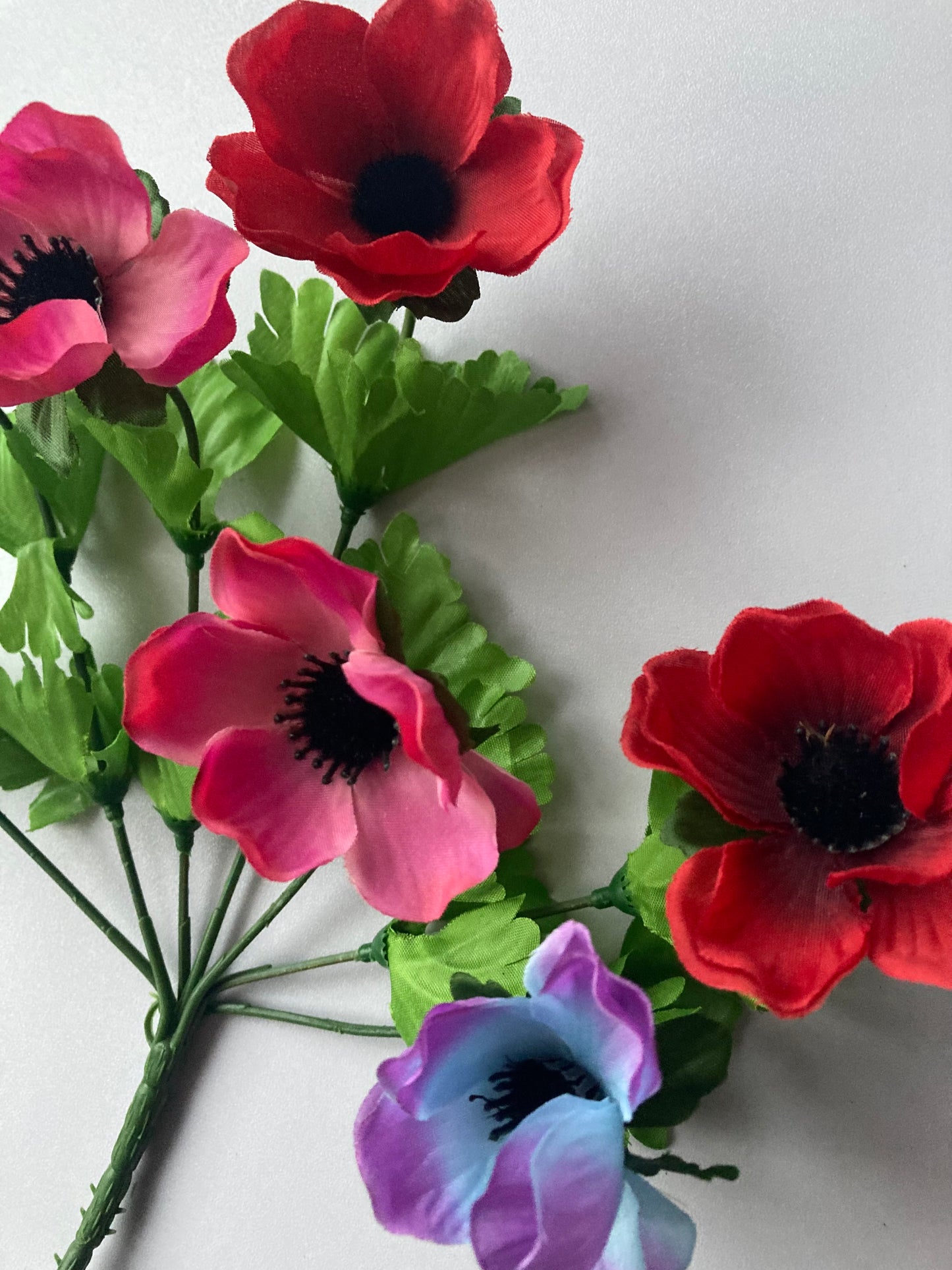 Colourful Anemone Bunch