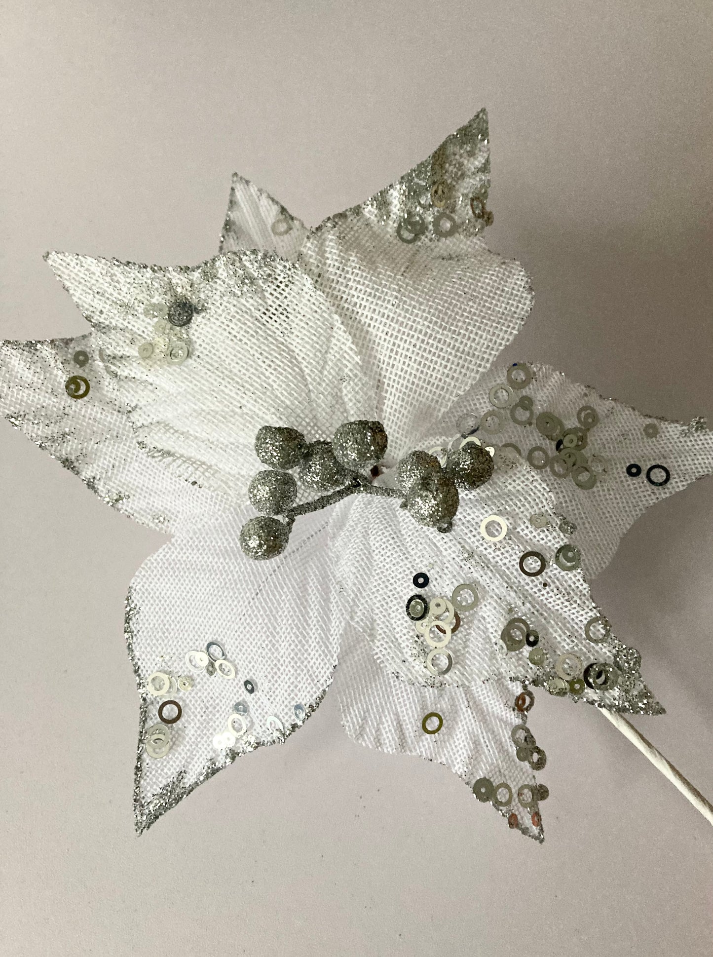 White & Silver Poinsettia