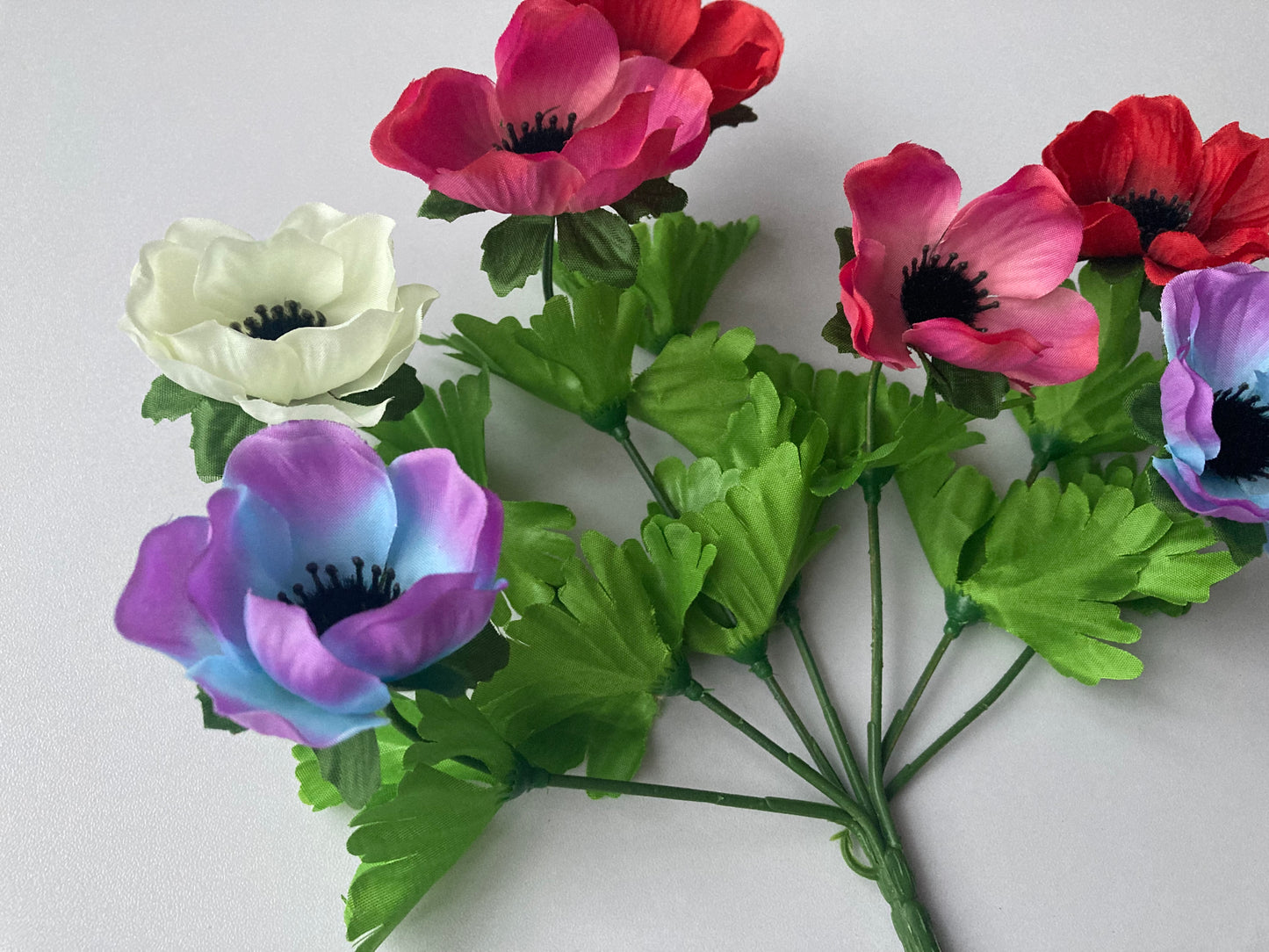 Colourful Anemone Bunch